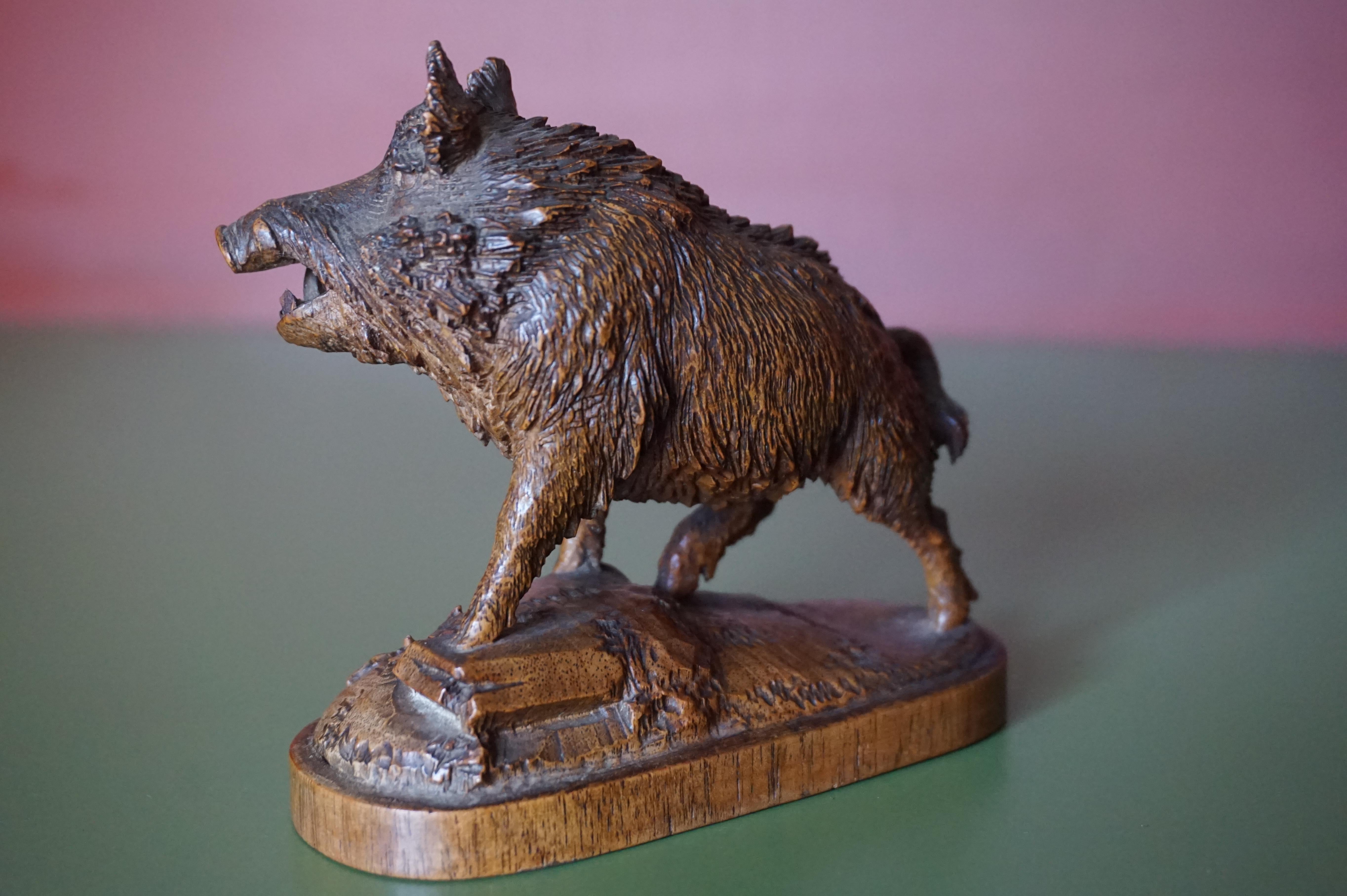 Finest Quality, Antique Hand Carved Nutwood Swiss Black Forest Boar Sculpture 3