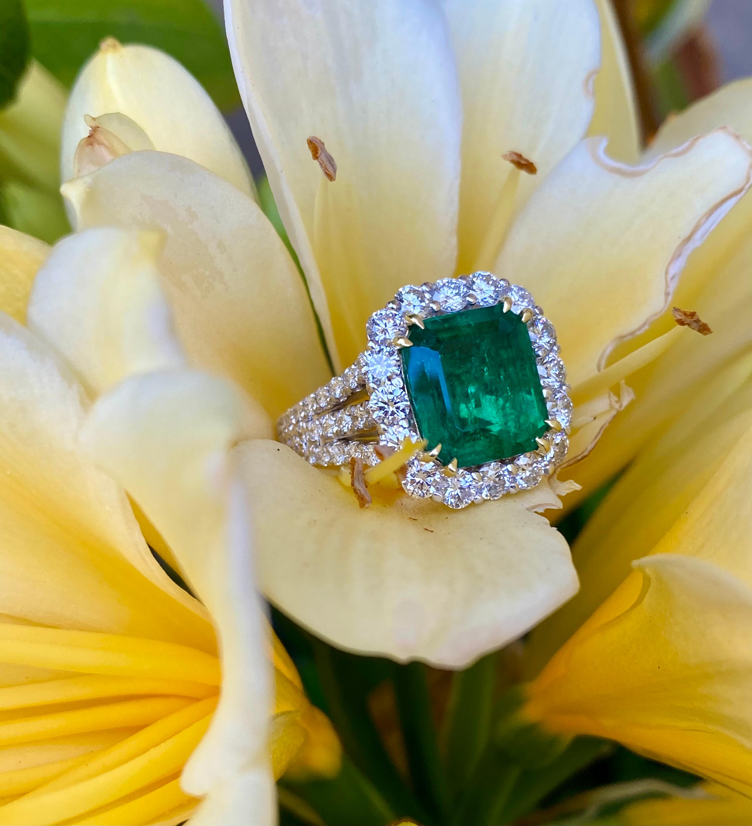 Finest Quality GIA Certified 6.39 Carat Colombian Emerald and Diamond 18K Ring 3