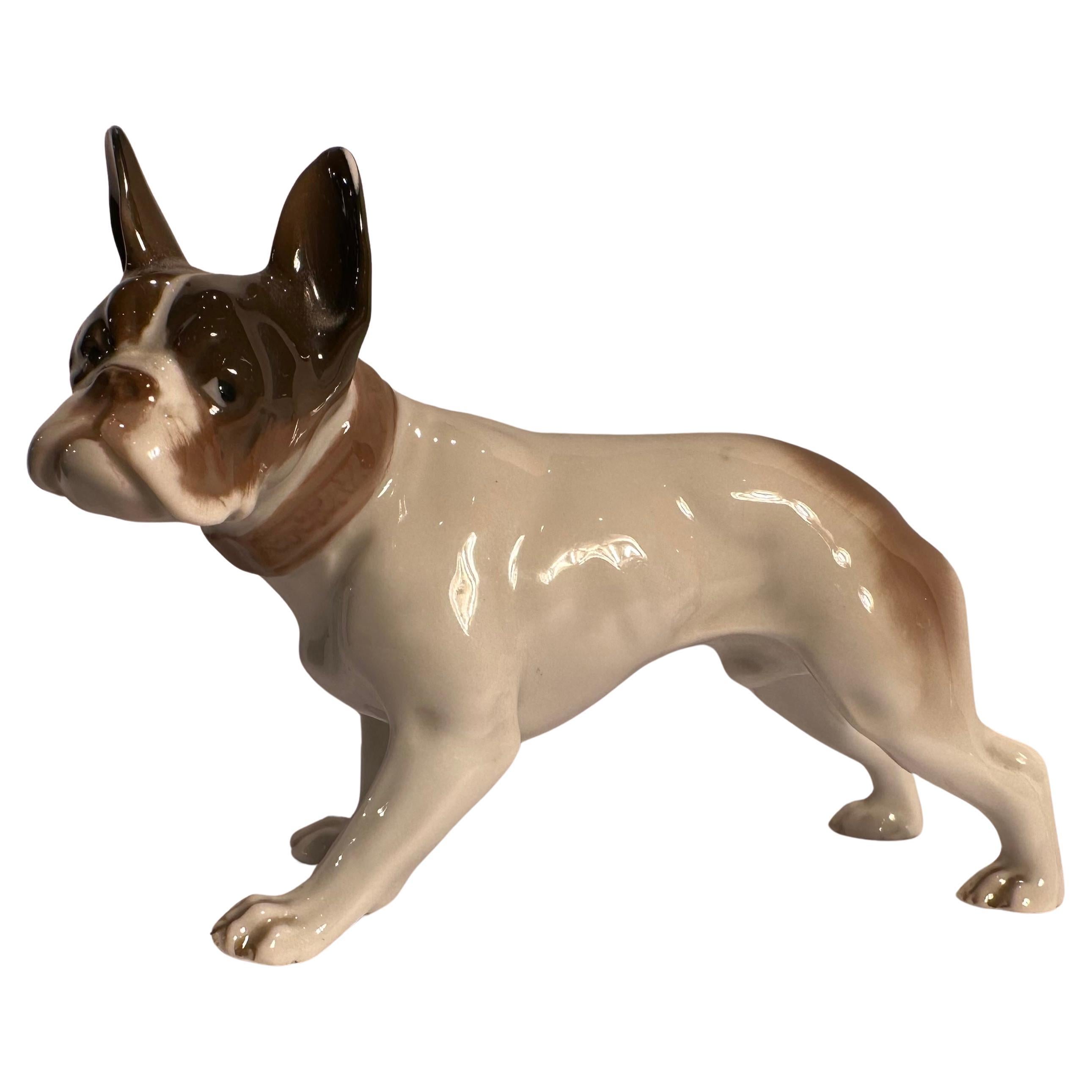 Französische Porzellan-Hundefigur in feinster Qualität, Rosenthal Deutschland, Französisch, Bulldogge