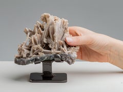 Quarzo a forma di dito dopo pseudomotori di anidrite