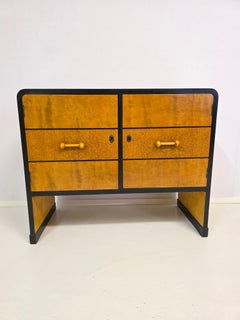 Finnish Rare Art Deco Cabinet 1930's By Antti Salmenlinna
