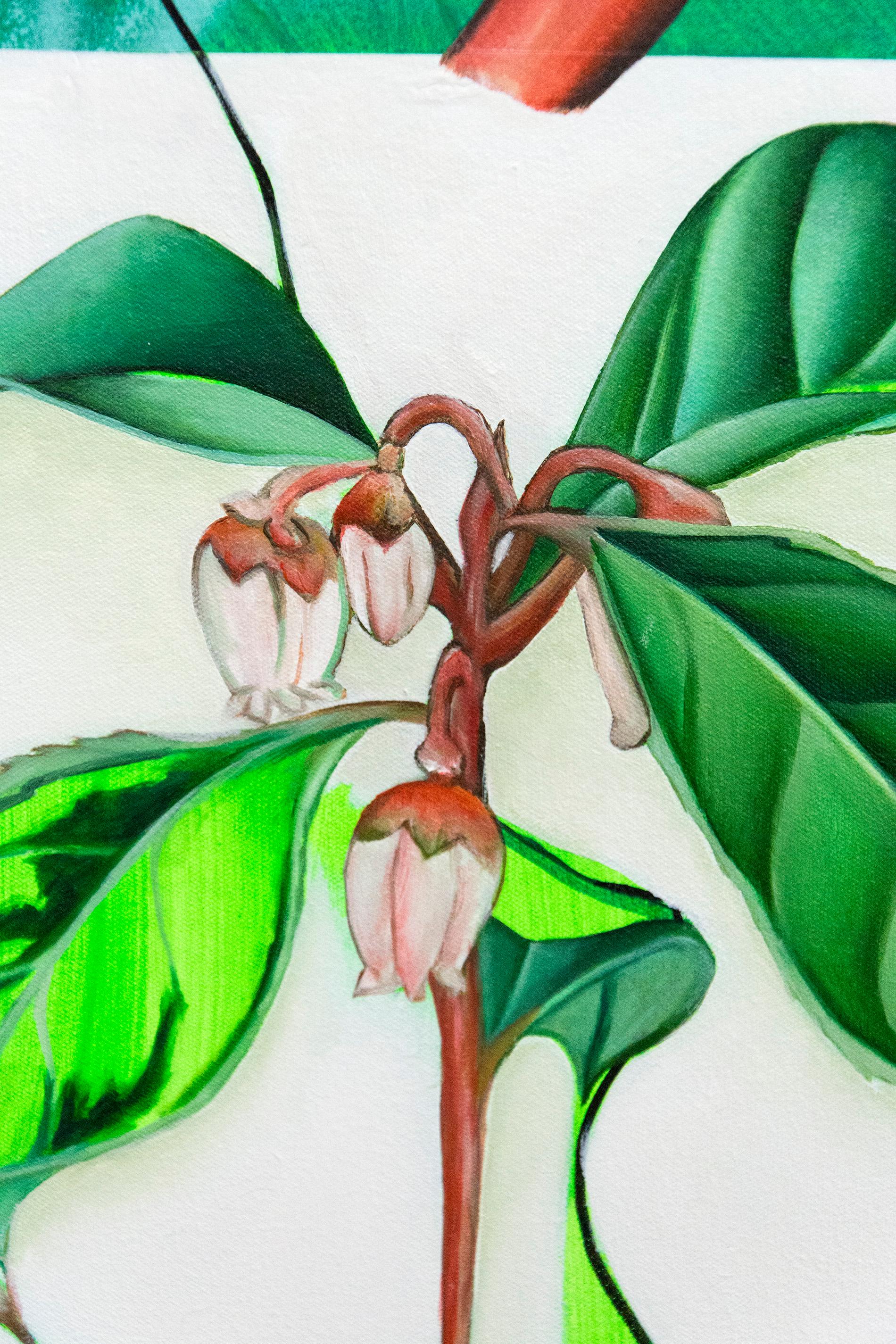 Trientalis - Inspiré par des récits et des dessins botaniques de femmes naturelles - Gris Still-Life Painting par Fiona Ackerman