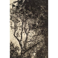 Luce d'autunno