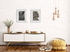 Pin d'automne et châtaigne d'hiver