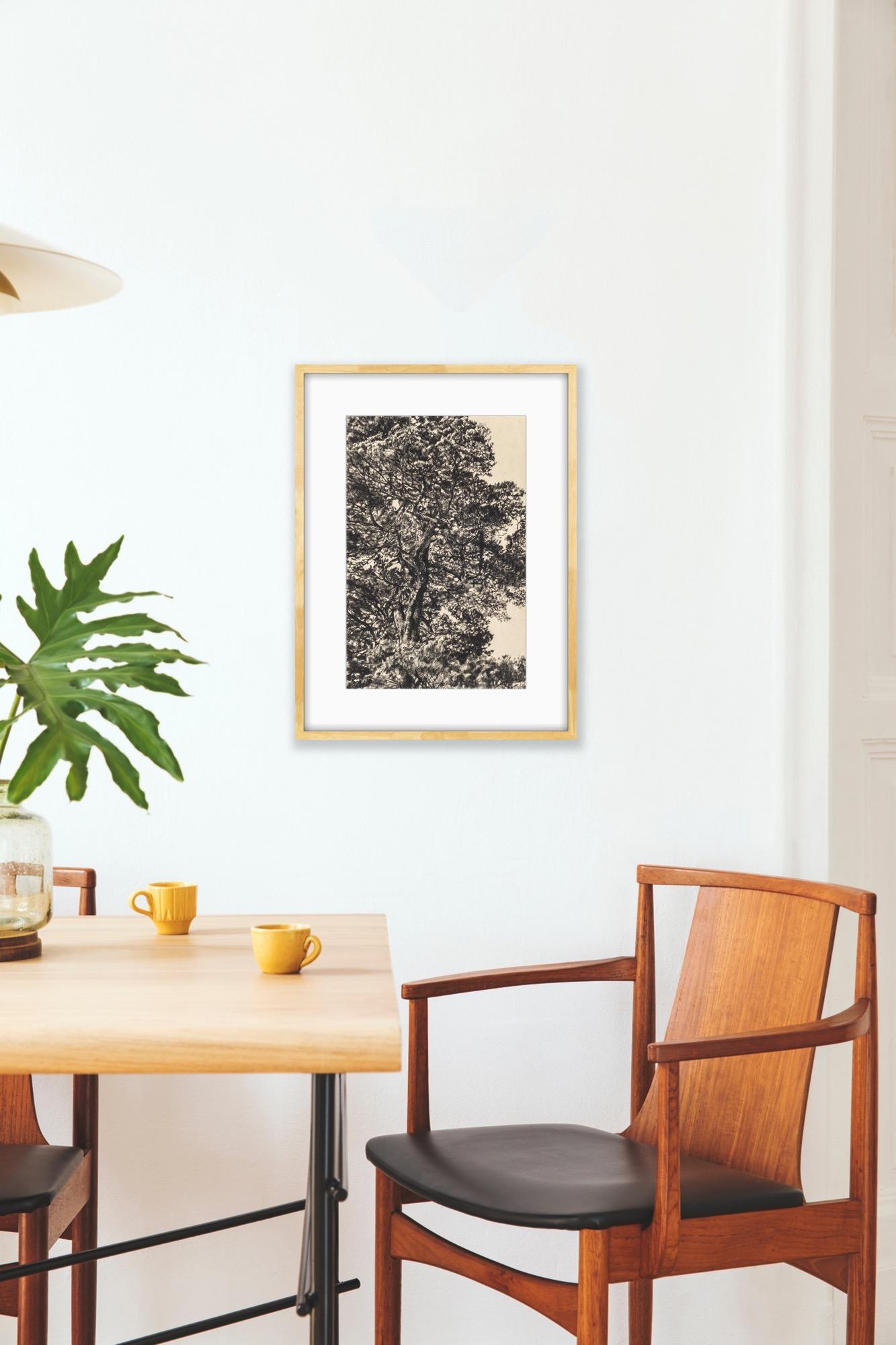 Pino otoñal, Impresión en edición limitada, Paisaje, Árbol, Arte de la naturaleza en venta 5