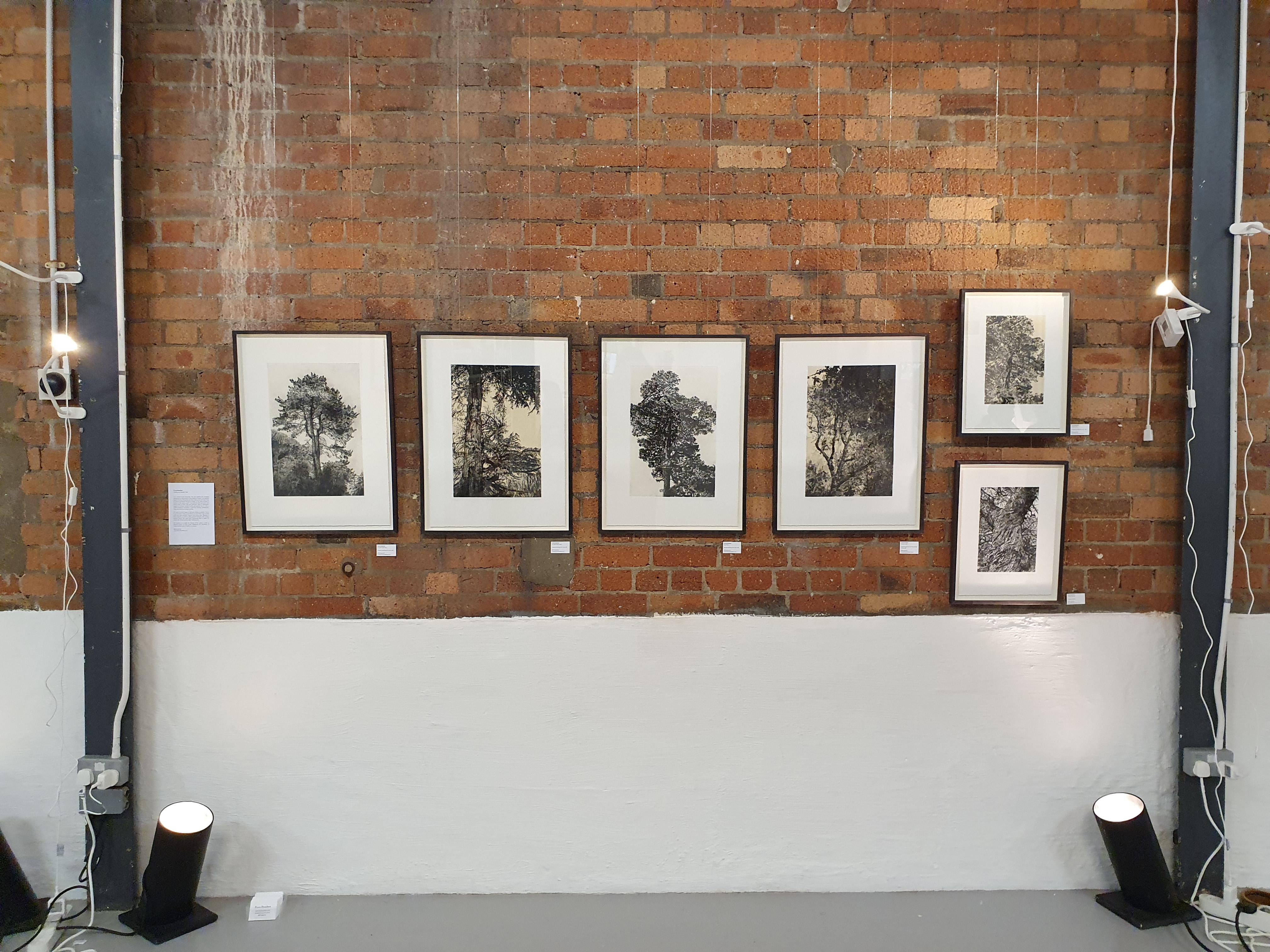 Pino otoñal, Impresión en edición limitada, Paisaje, Árbol, Arte de la naturaleza - Landscape Print Negro de Fiona Hamilton 