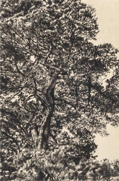 Pino otoñal, Impresión en edición limitada, Paisaje, Árbol, Arte de la naturaleza