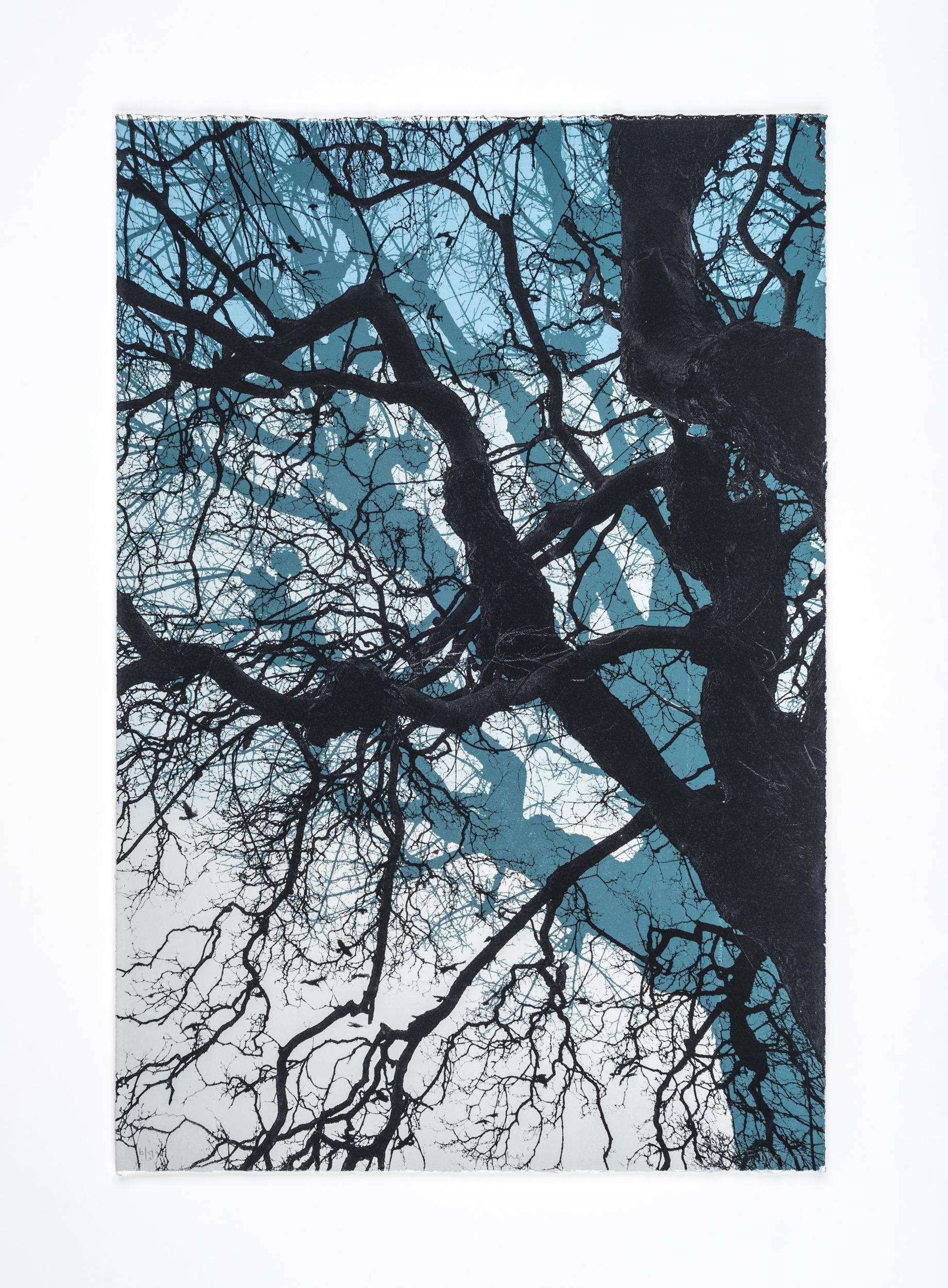 Ramas azules, Impresión en edición limitada, Paisaje, Árbol, Arte de la naturaleza - Print de Fiona Hamilton 