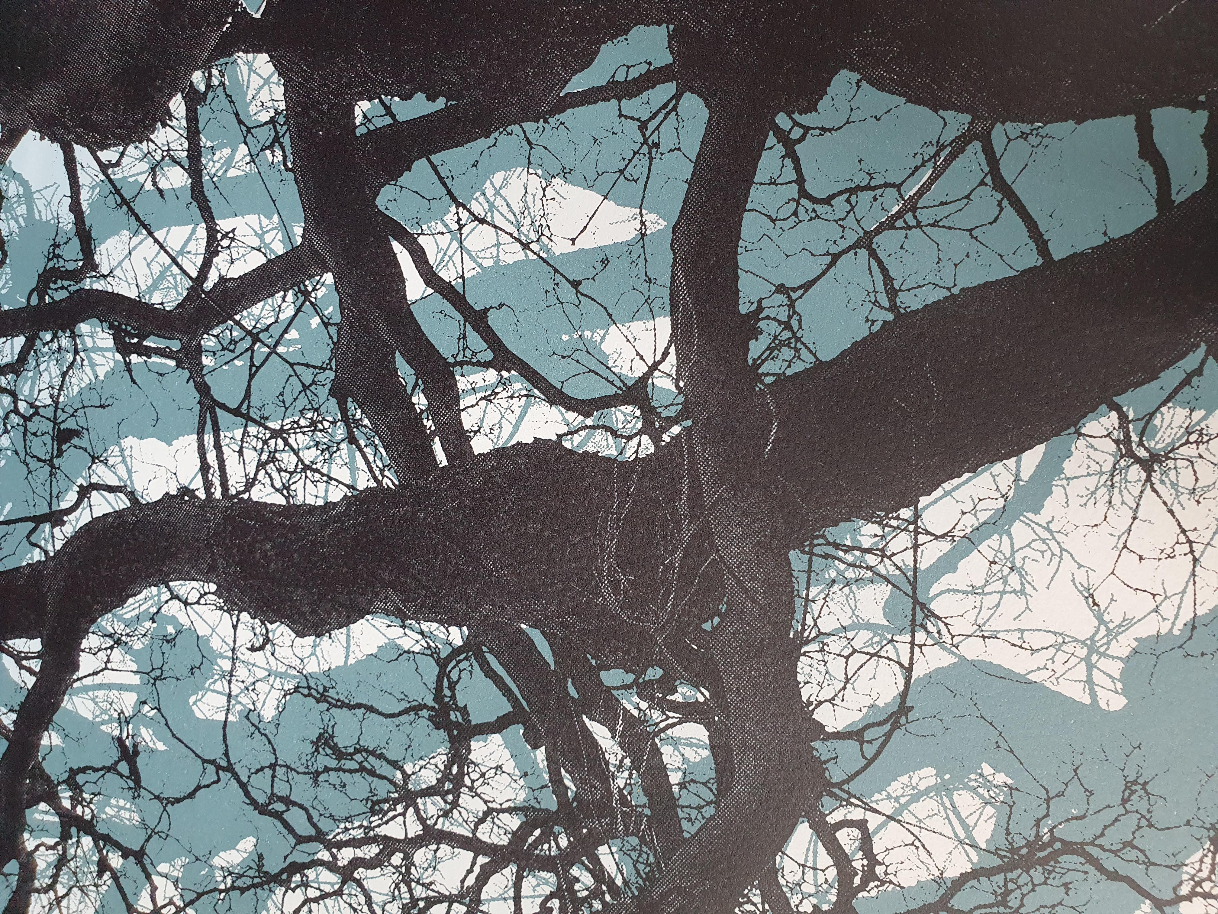 Ramas azules, Impresión en edición limitada, Paisaje, Árbol, Arte de la naturaleza - Landscape Print Negro de Fiona Hamilton 