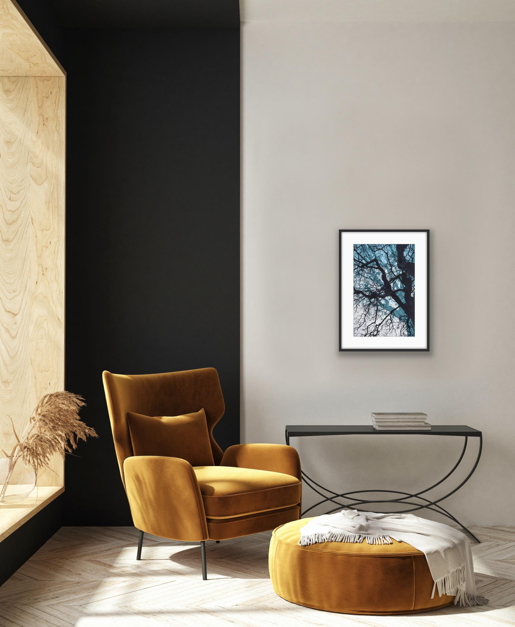 Ramas azules, Impresión en edición limitada, Paisaje, Árbol, Arte de la naturaleza en venta 2