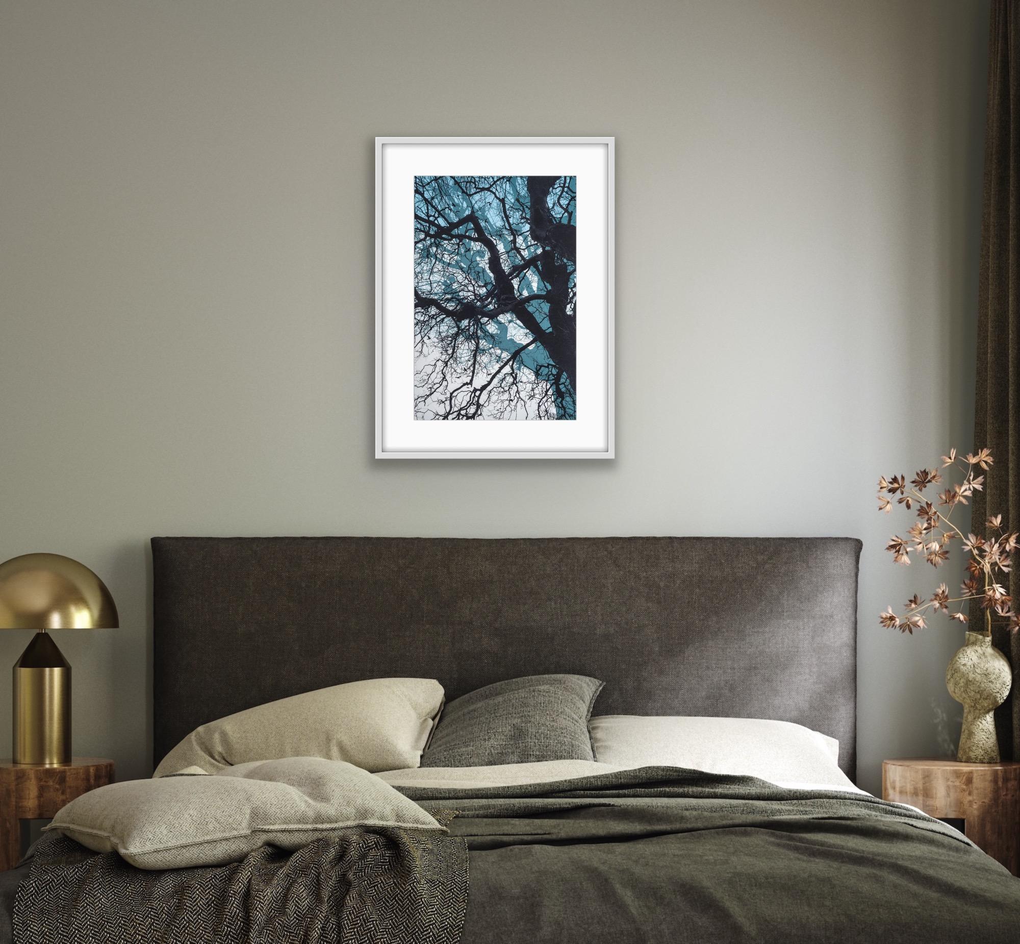 Ramas azules, Impresión en edición limitada, Paisaje, Árbol, Arte de la naturaleza en venta 3