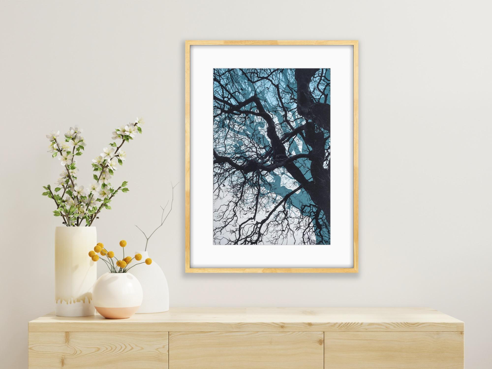 Ramas azules, Impresión en edición limitada, Paisaje, Árbol, Arte de la naturaleza en venta 4