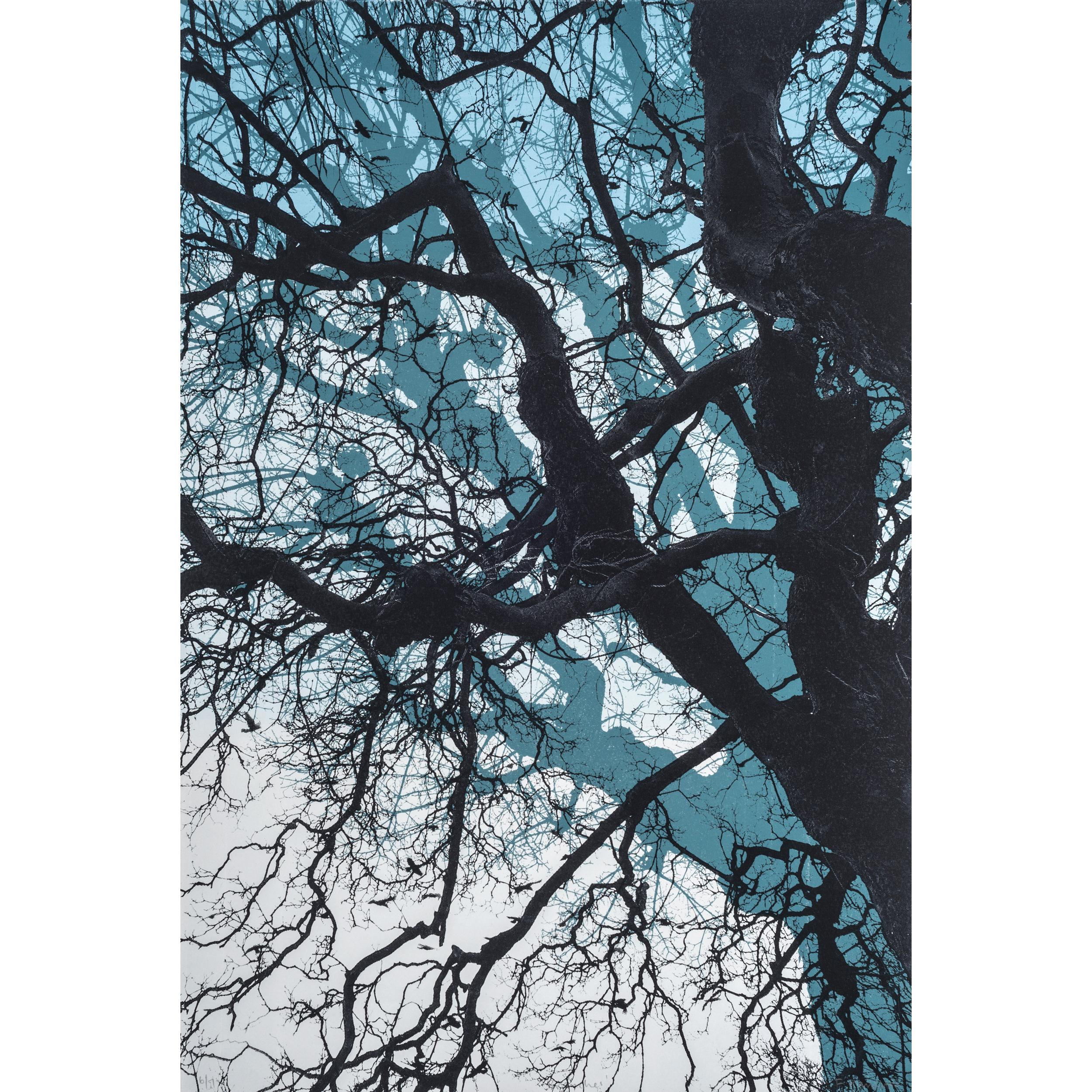 Branch Blue, Stampa in edizione limitata, Paesaggio, Albero, Nature art