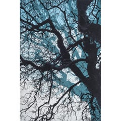 Branch Blue, Stampa in edizione limitata, Paesaggio, Albero, Nature art