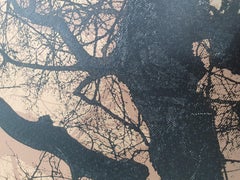 Branches Gold, Limited edition print, Landscape, Tree, Nature art