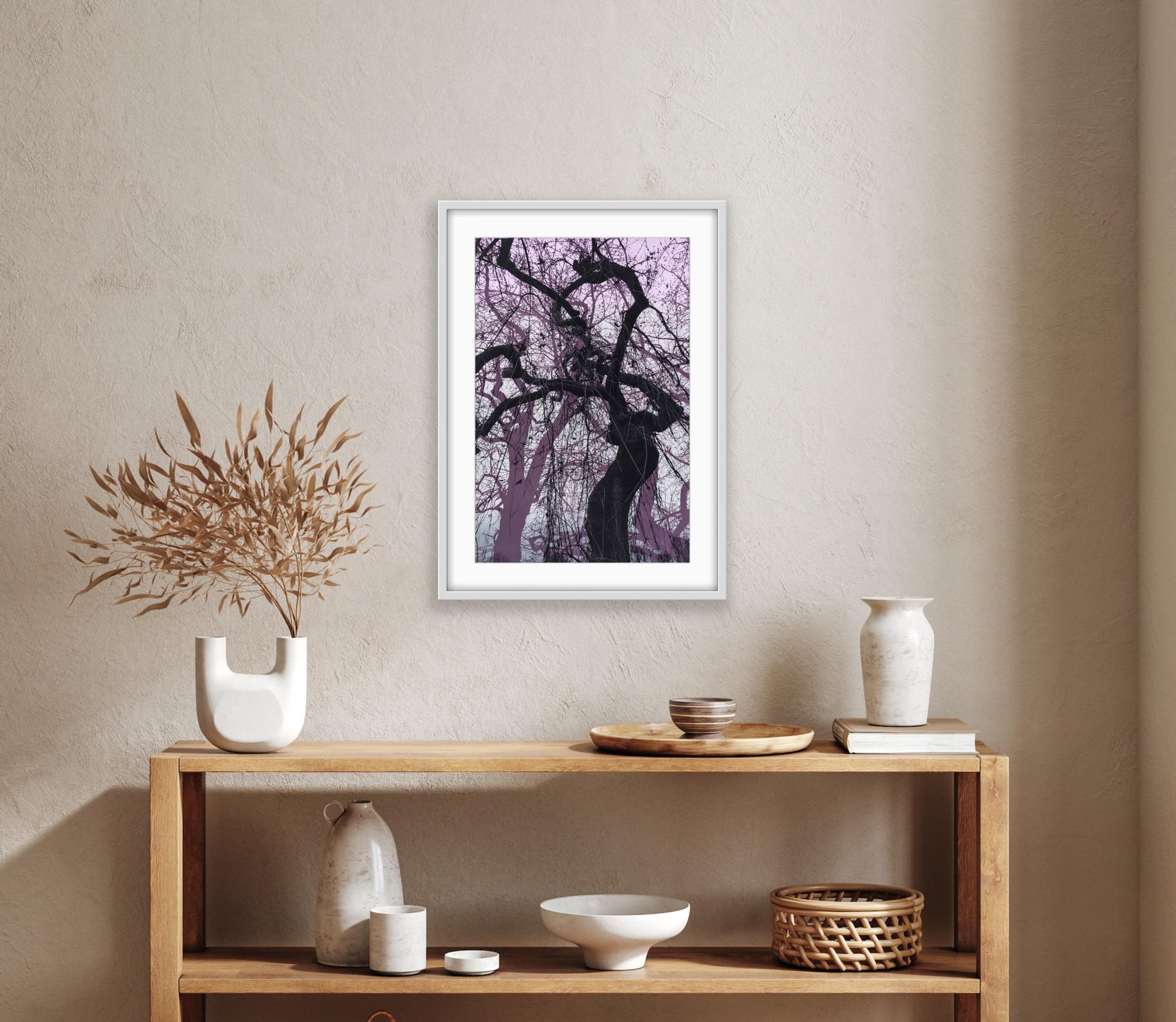 Ramas moradas, Impresión en edición limitada, Paisaje, Árbol, Arte de la naturaleza en venta 1