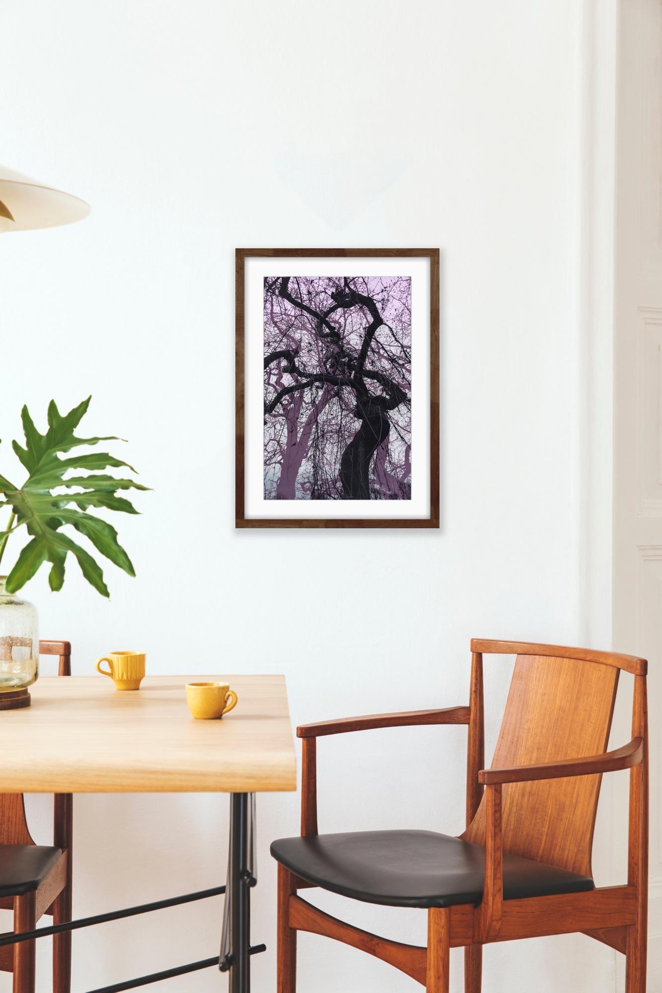 Ramas moradas, Impresión en edición limitada, Paisaje, Árbol, Arte de la naturaleza en venta 3