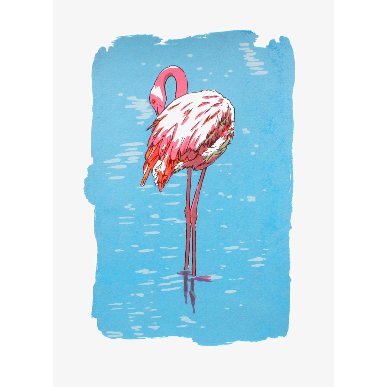 Meekat, Flamingo and Ring Tailed Lemur - Print by Fiona Hamilton 
