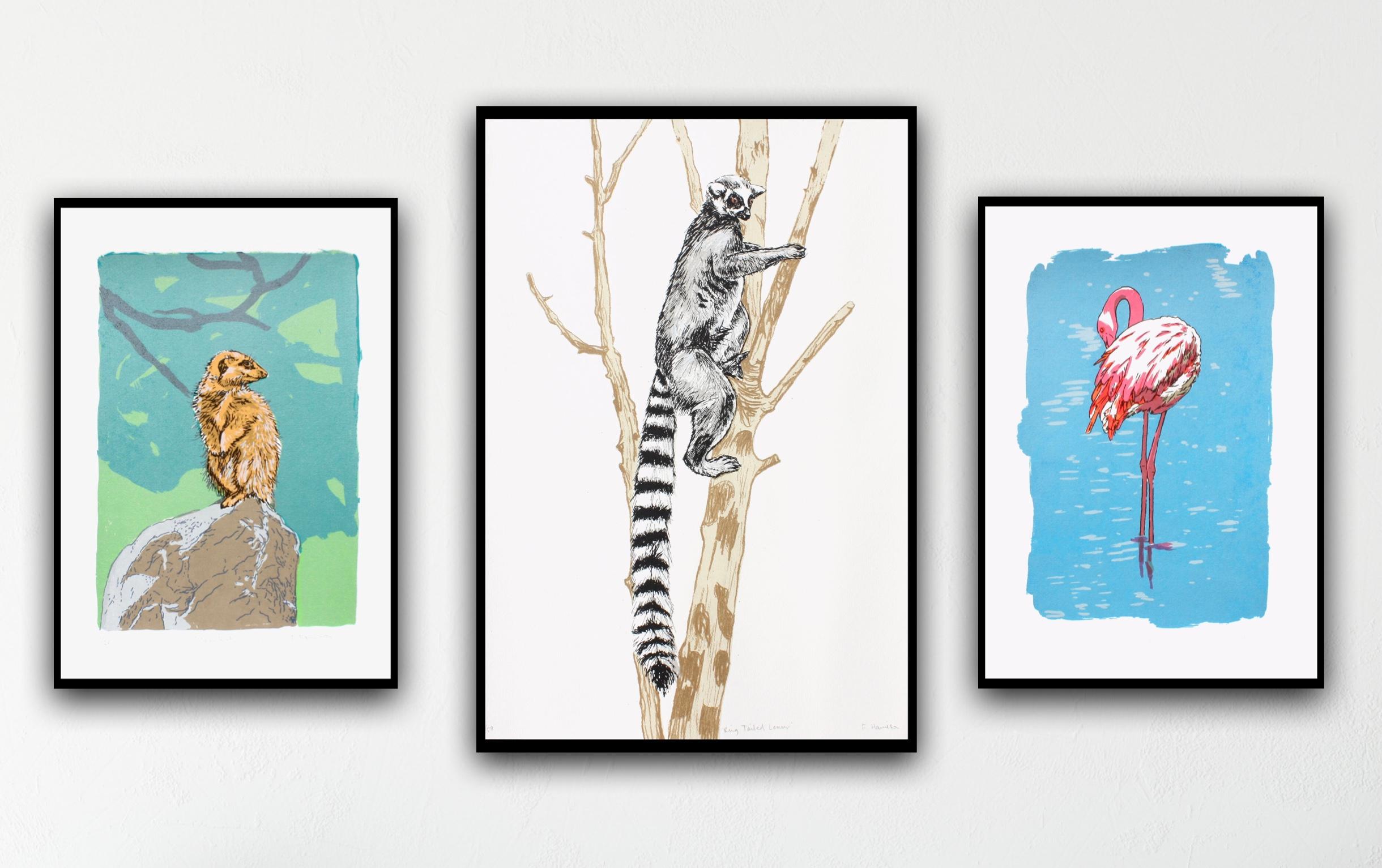 Fiona Hamilton  Figurative Print - Meekat, Flamingo and Ring Tailed Lemur