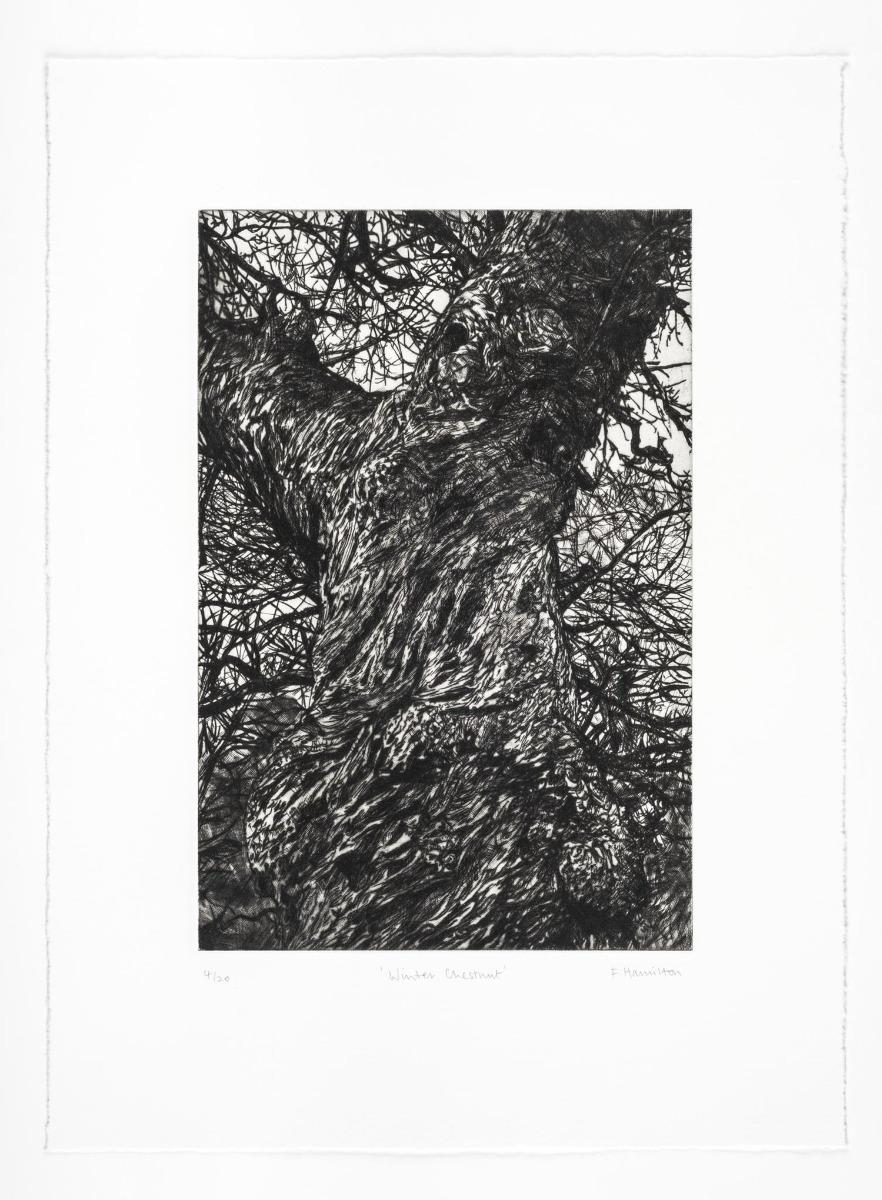 Winter Chestnut - Contemporary Print by Fiona Hamilton 