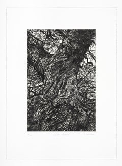 Winter Chestnut, Limited edition print, Landscape, Tree, Nature art