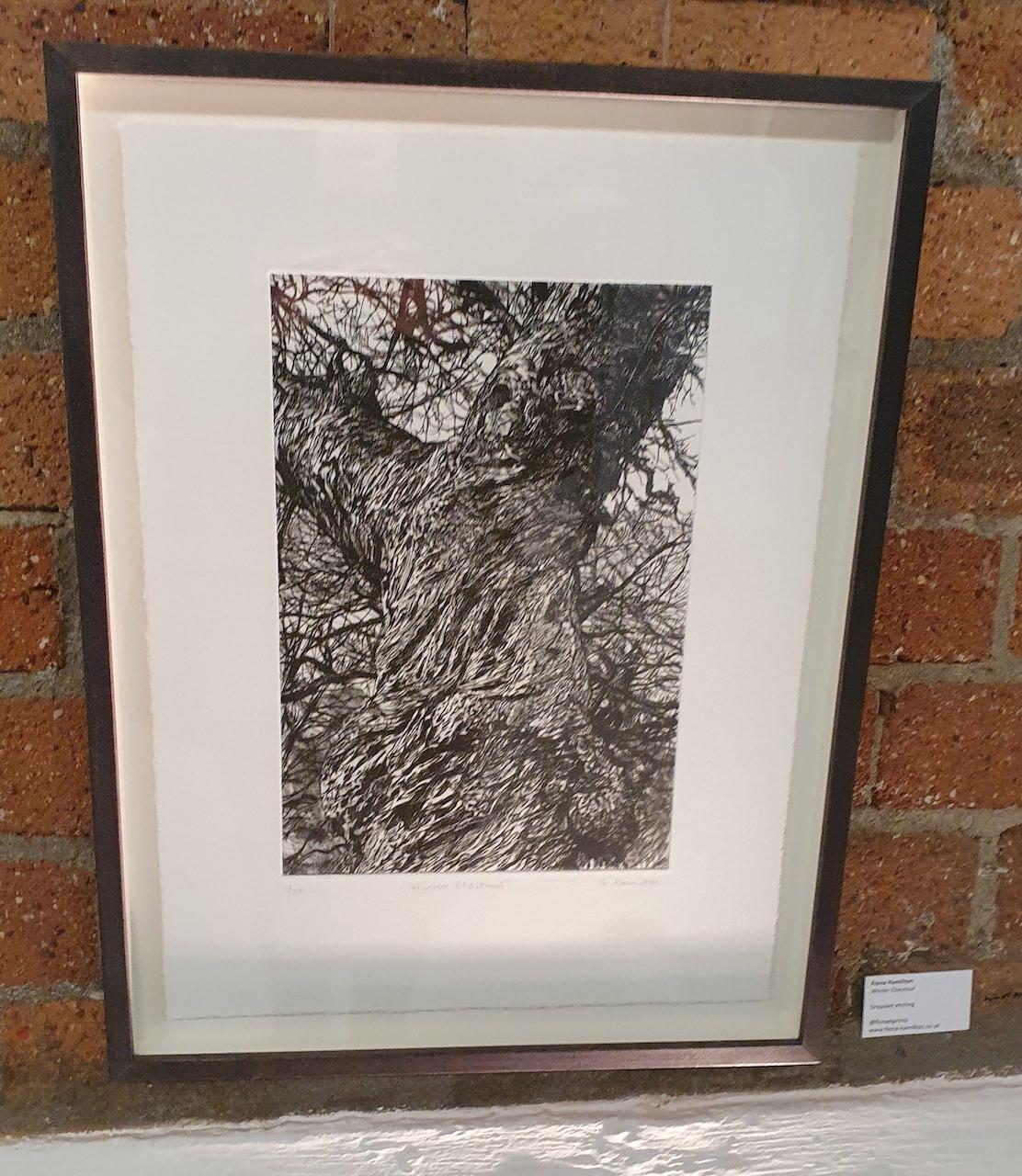 Castagno d'inverno, Stampa in edizione limitata, Paesaggio, Albero, Arte della natura - Print Contemporaneo di Fiona Hamilton 