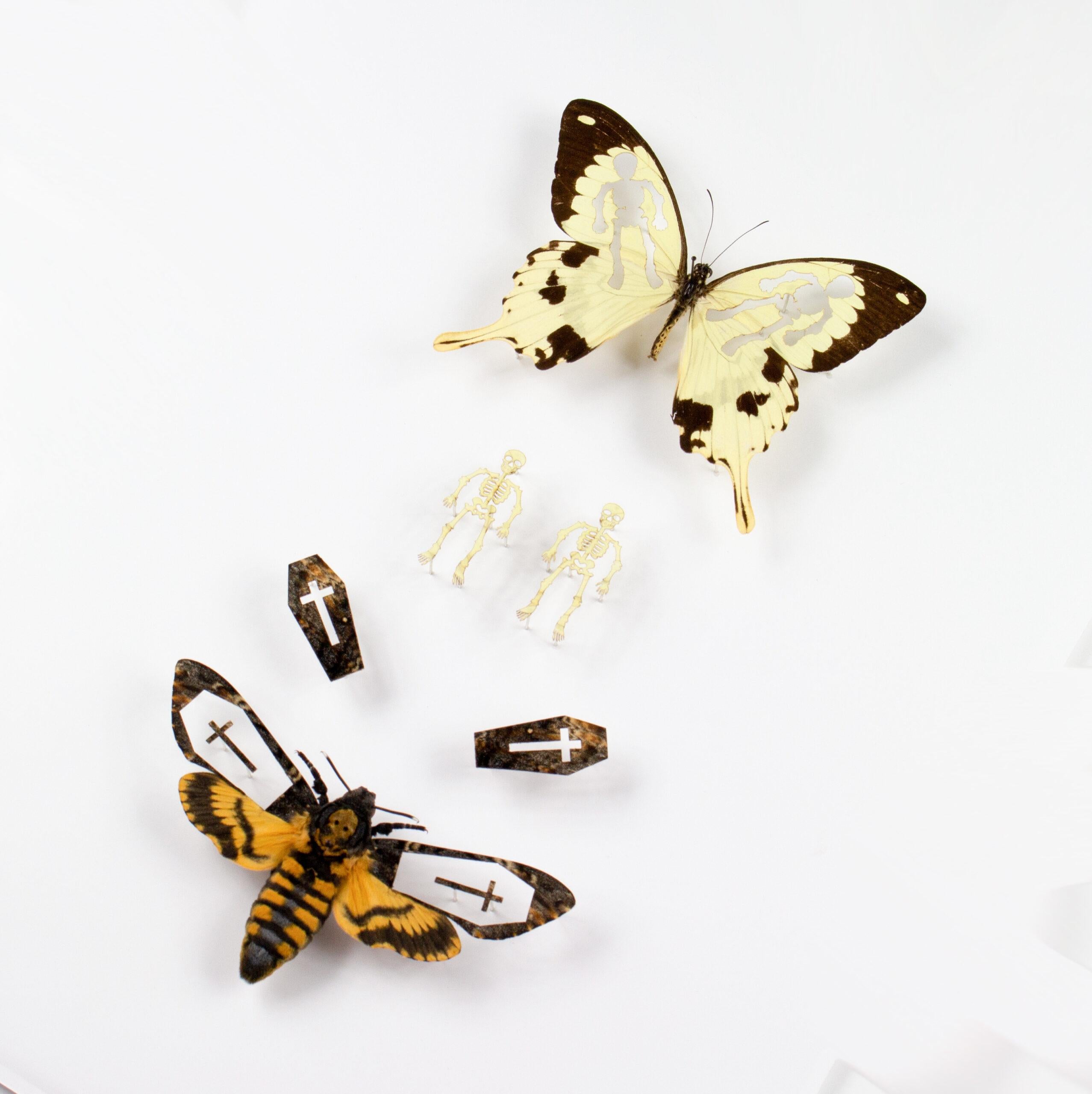 Memento Mori by Fiona Parkinson features the stunning Deaths Head Hawkmoth, famed by Silence of the Lambs, perfectly preserved and designed as coffins along with butterfly skeletons.

Memento Mori is one of Fiona’s most sought after, but tricky to