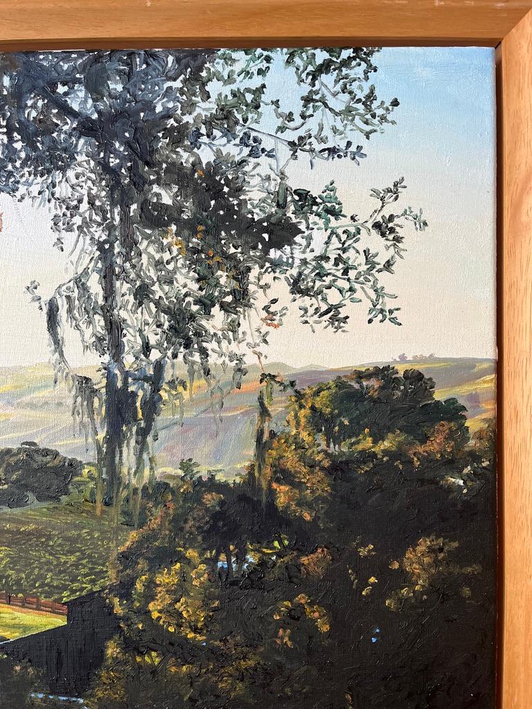 Fionnuala Boyd & Leslie Evans Contemporary Art, Talinda Oaks, California For Sale 3
