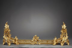 Fire Screen, Fender and Andirons in Rocaille Style