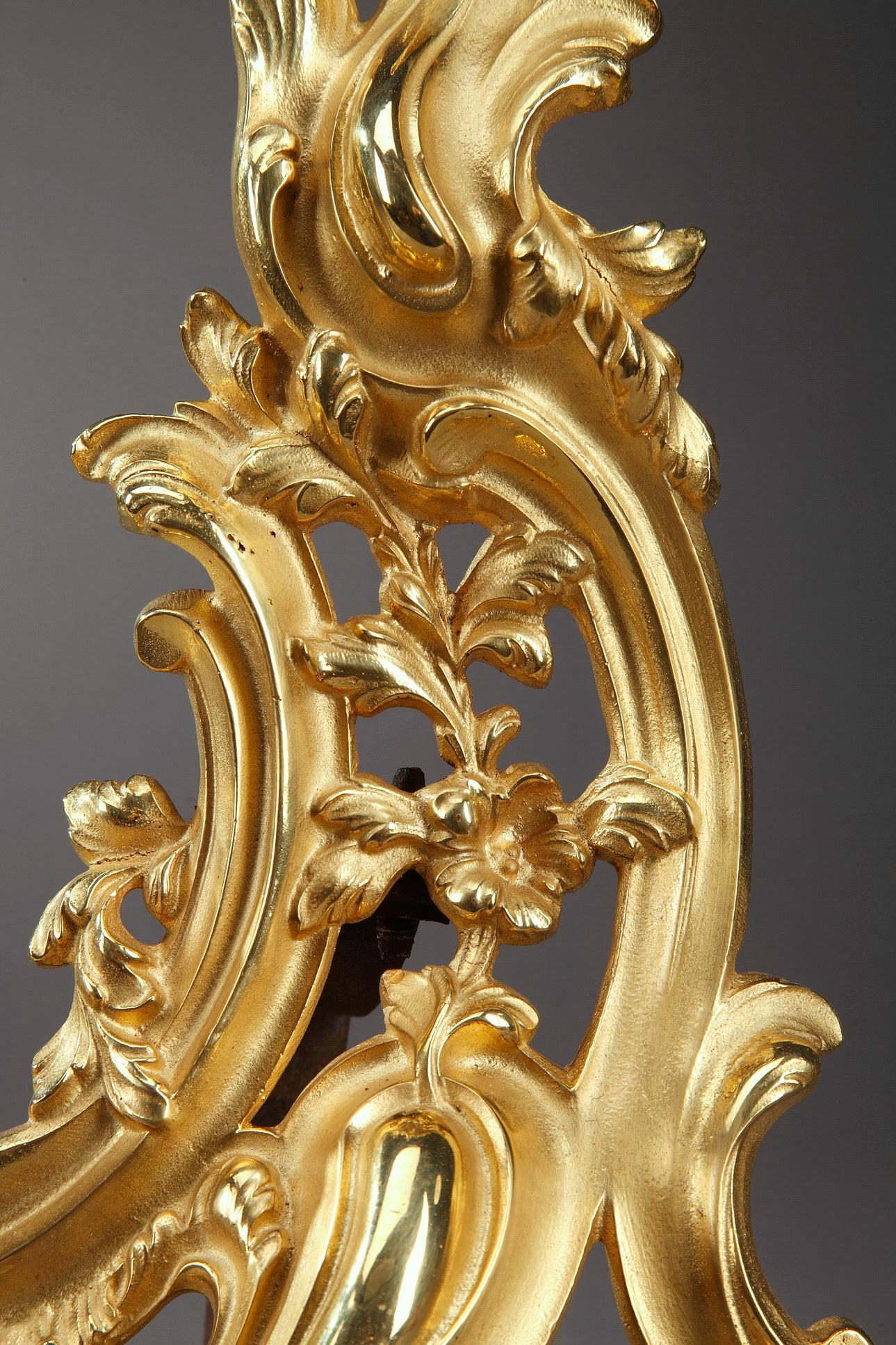 Gilt Fire Screen, Fender and Andirons in Rocaille Style