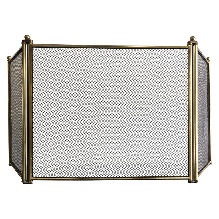 Fire Screen / Fireplace Screen For Sale at 1stDibs