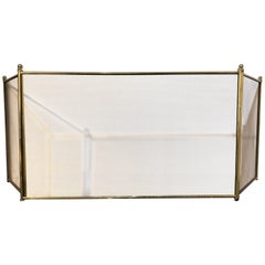 Fire Screen or Fireplace Screen