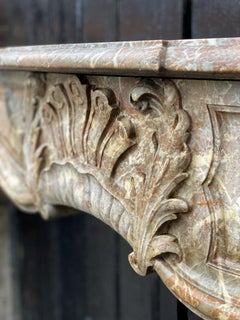 Fireplace in Grey Marble of the Ardennes Louis XV Style Early Xixth Century