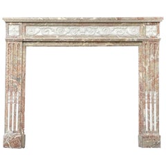 Antique Fireplace in Vausort Marble and White Statuary Louis XVI Style