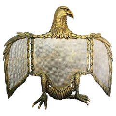 Fireplace  Screen Bronze or Brass Eagle-Sparks, Spain, Early 20th Century