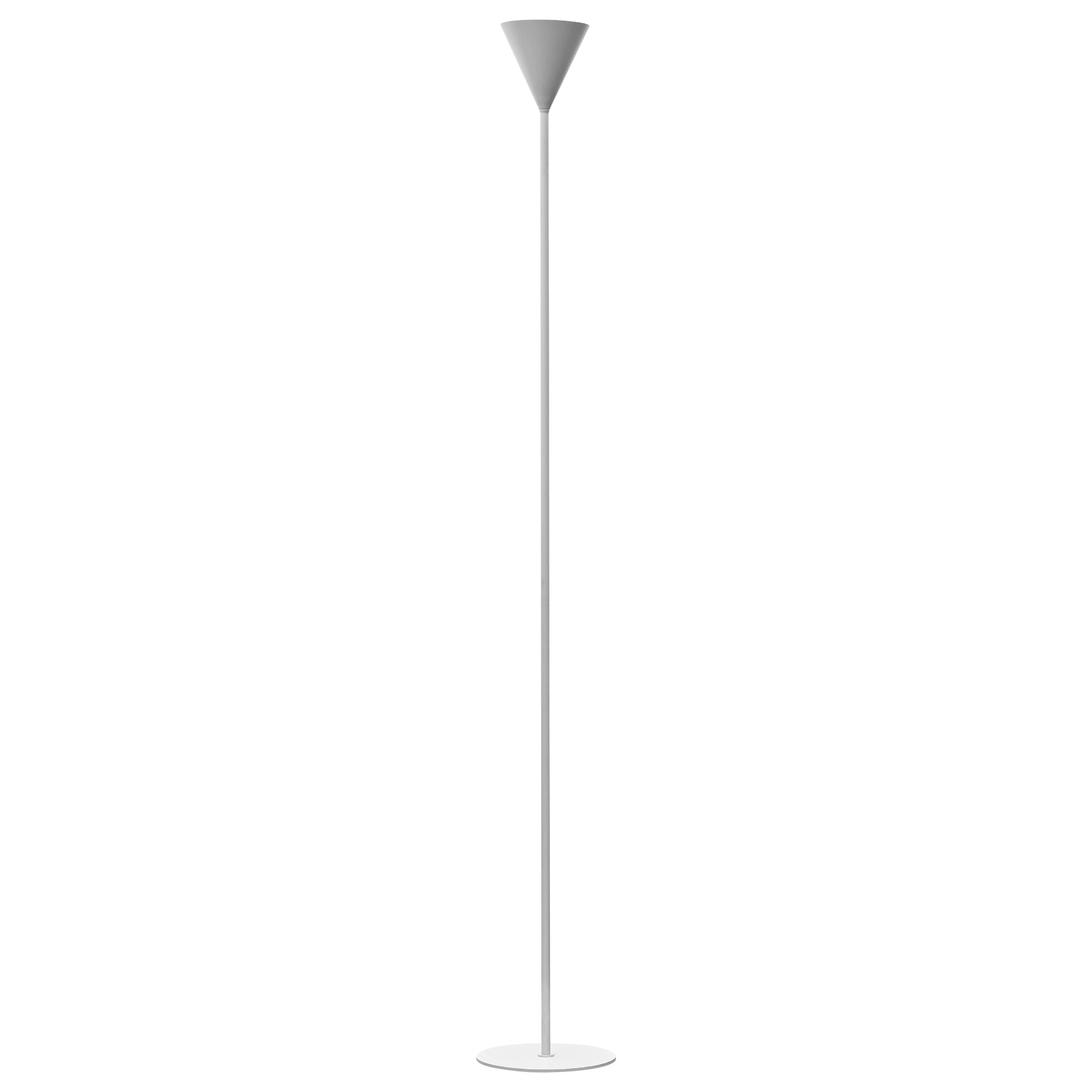 Firmamento Milano Petit lampadaire Cono LED blanc en blanc par Carlo Guglielmi