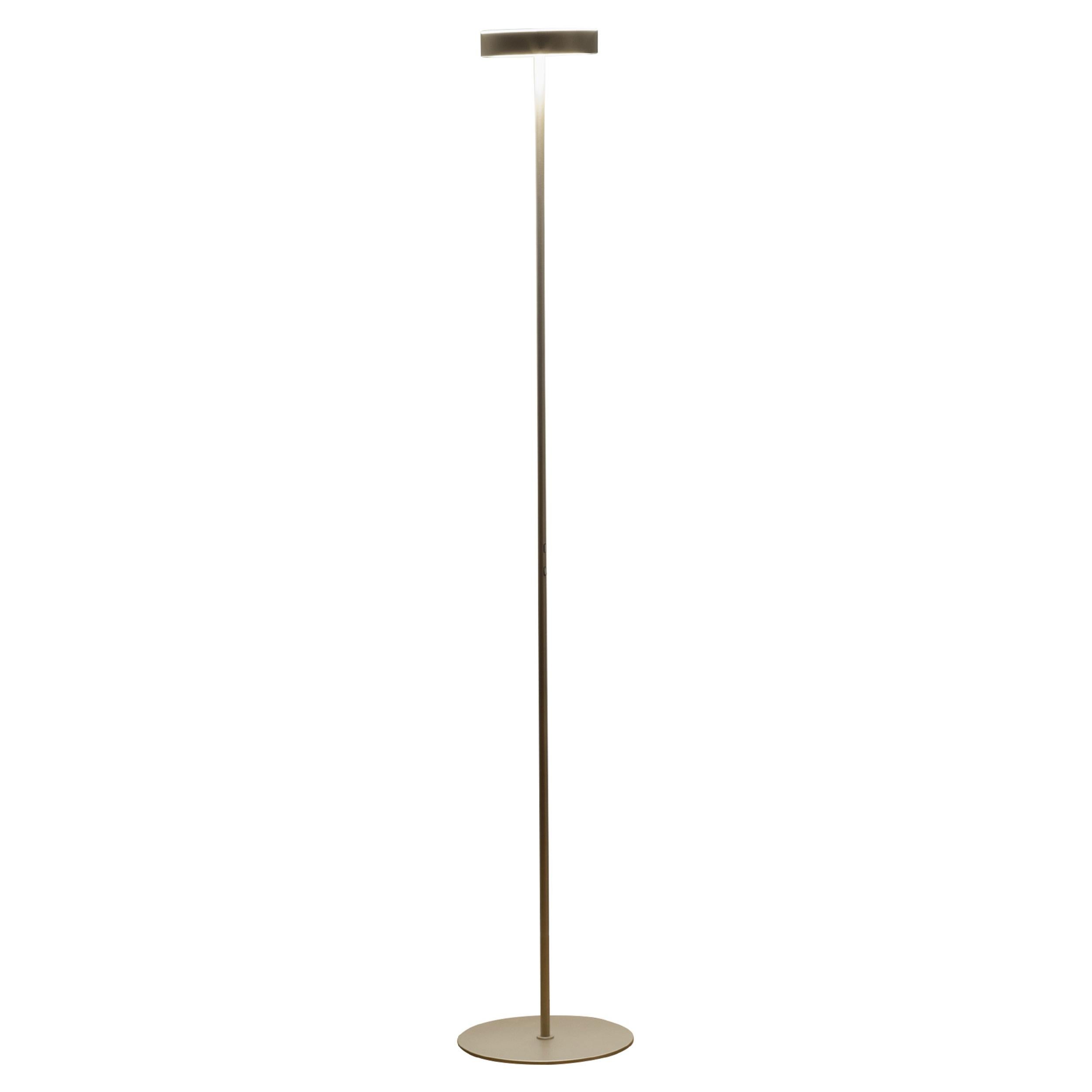 Firmamento Milano Tambu LED Floor Lamp in Gold by Carlo Guglielmi For Sale