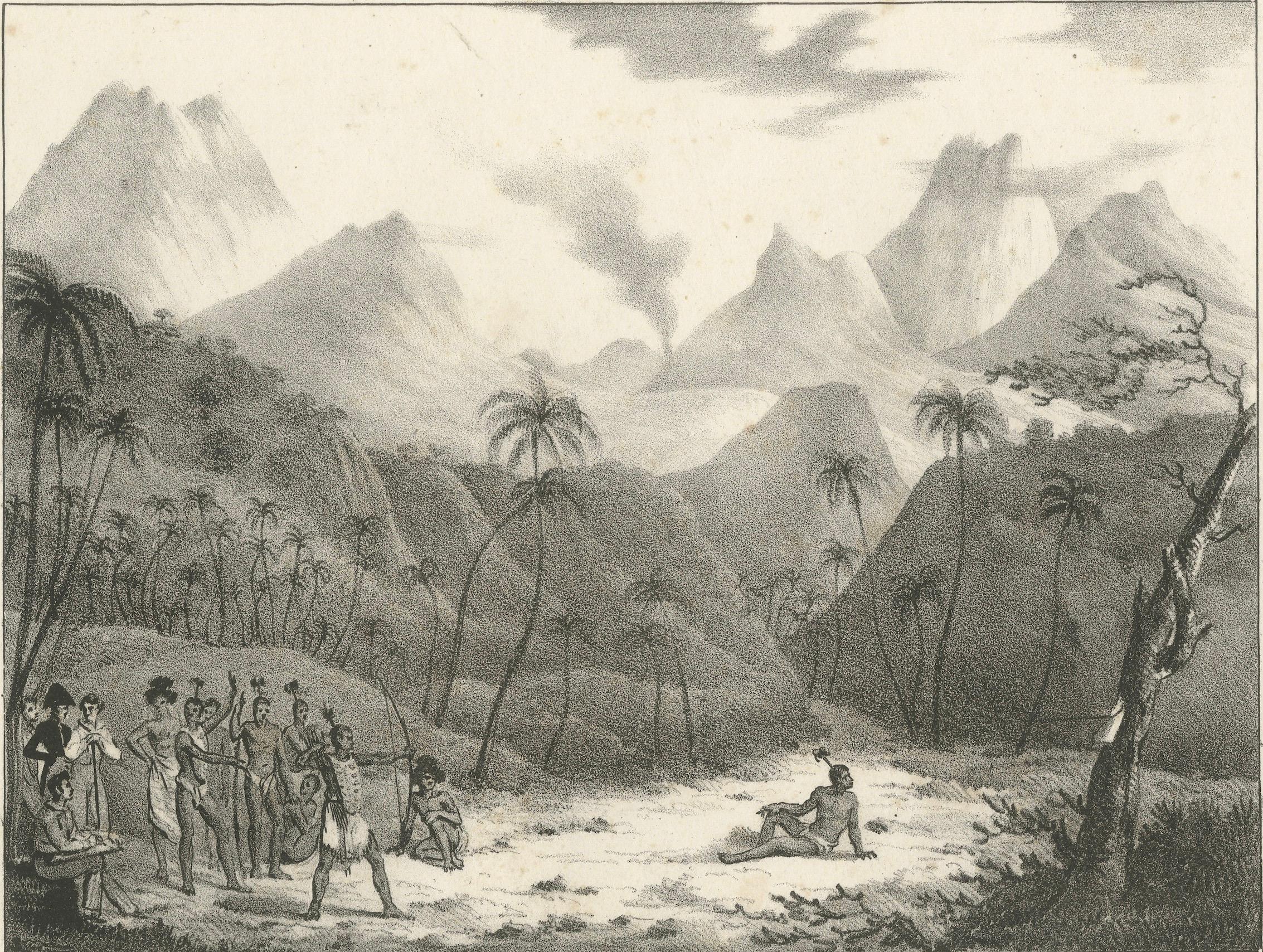 First Contact in Owhyhee: Webbers Gravur von Hawaii aus dem Jahr 1785 (Spätes 18. Jahrhundert) im Angebot