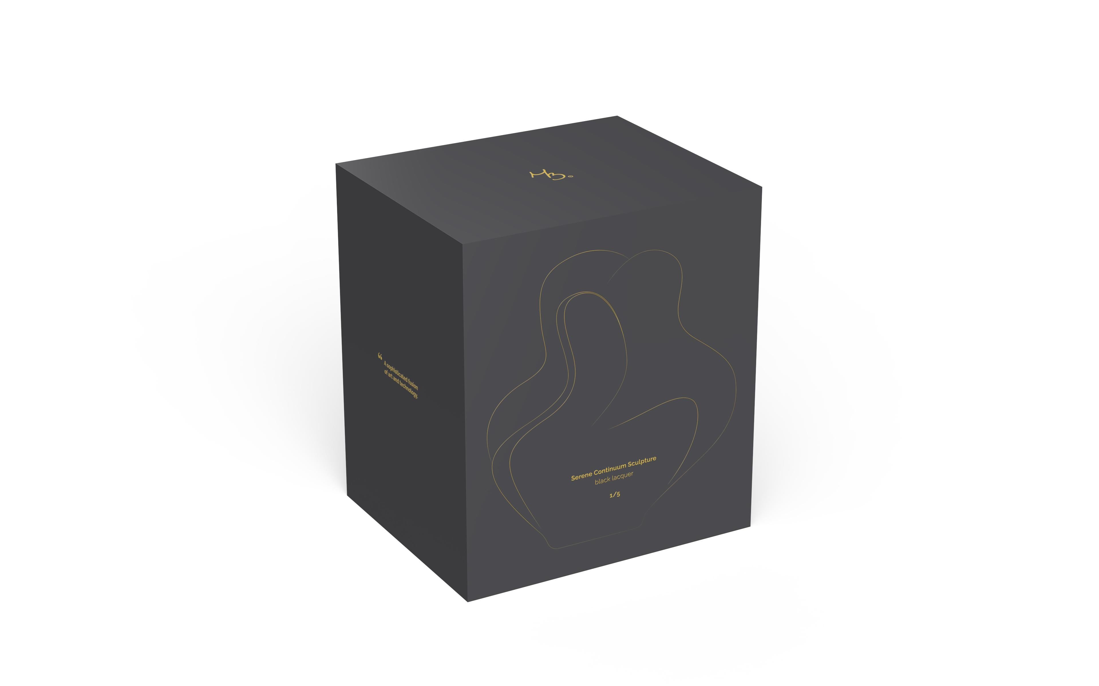 Contemporary First Edition 1/5 Organic Sculpture in Black Lacquer by Mattice Boets For Sale