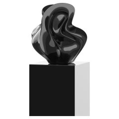 Primera edición 1/5 Escultura orgánica en laca negra de Mattice Boets