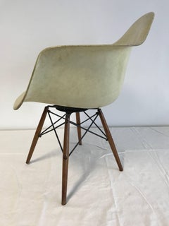 First Edition Charles Eames Paw Chair Swivel Fibre Glass Shell Dowel Leg Walnut