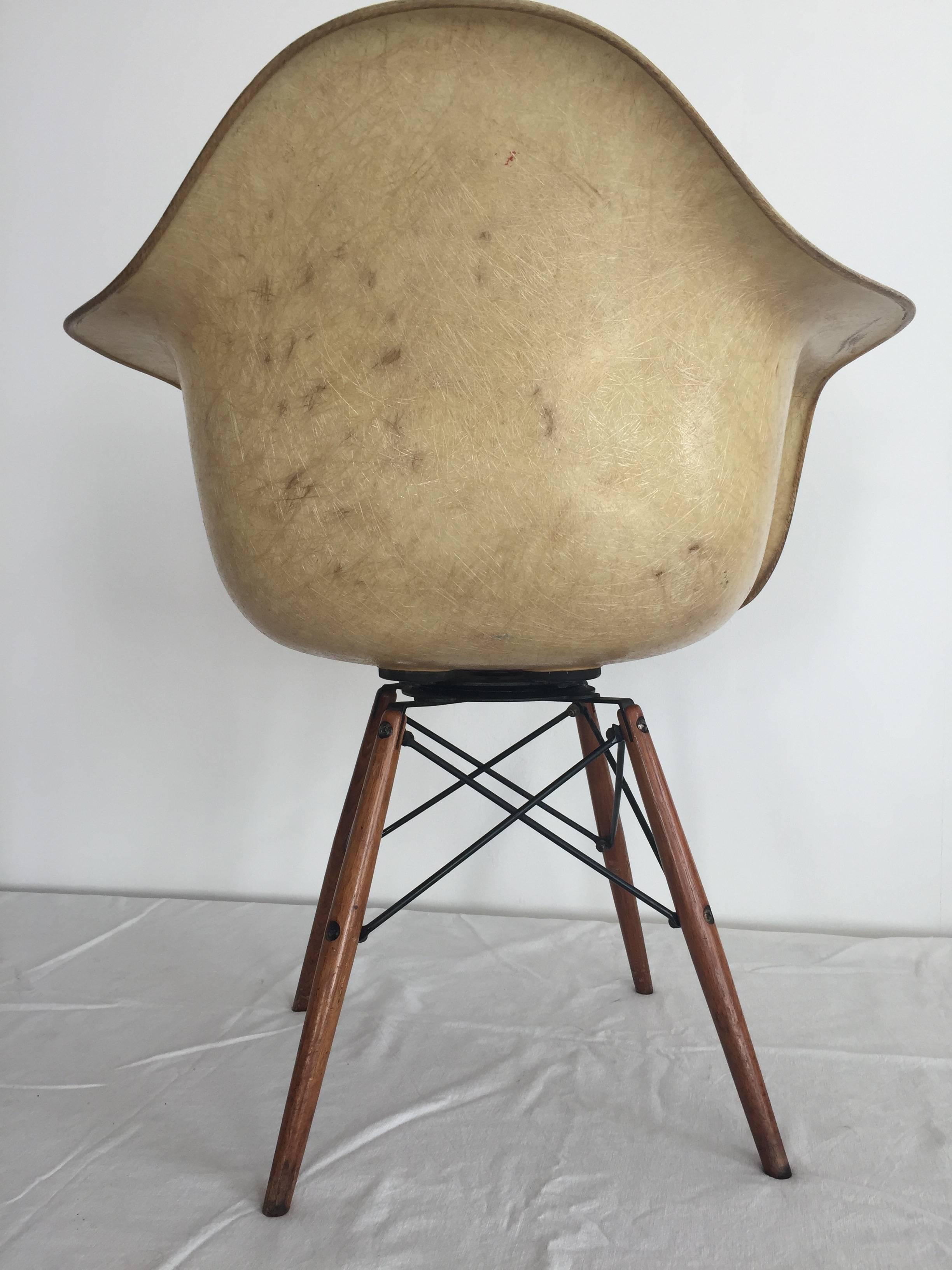 Mid-Century Modern First Edition Charles Eames Paw Chair Swivel Fibre Glass Shell Dowel Leg Noyer en vente