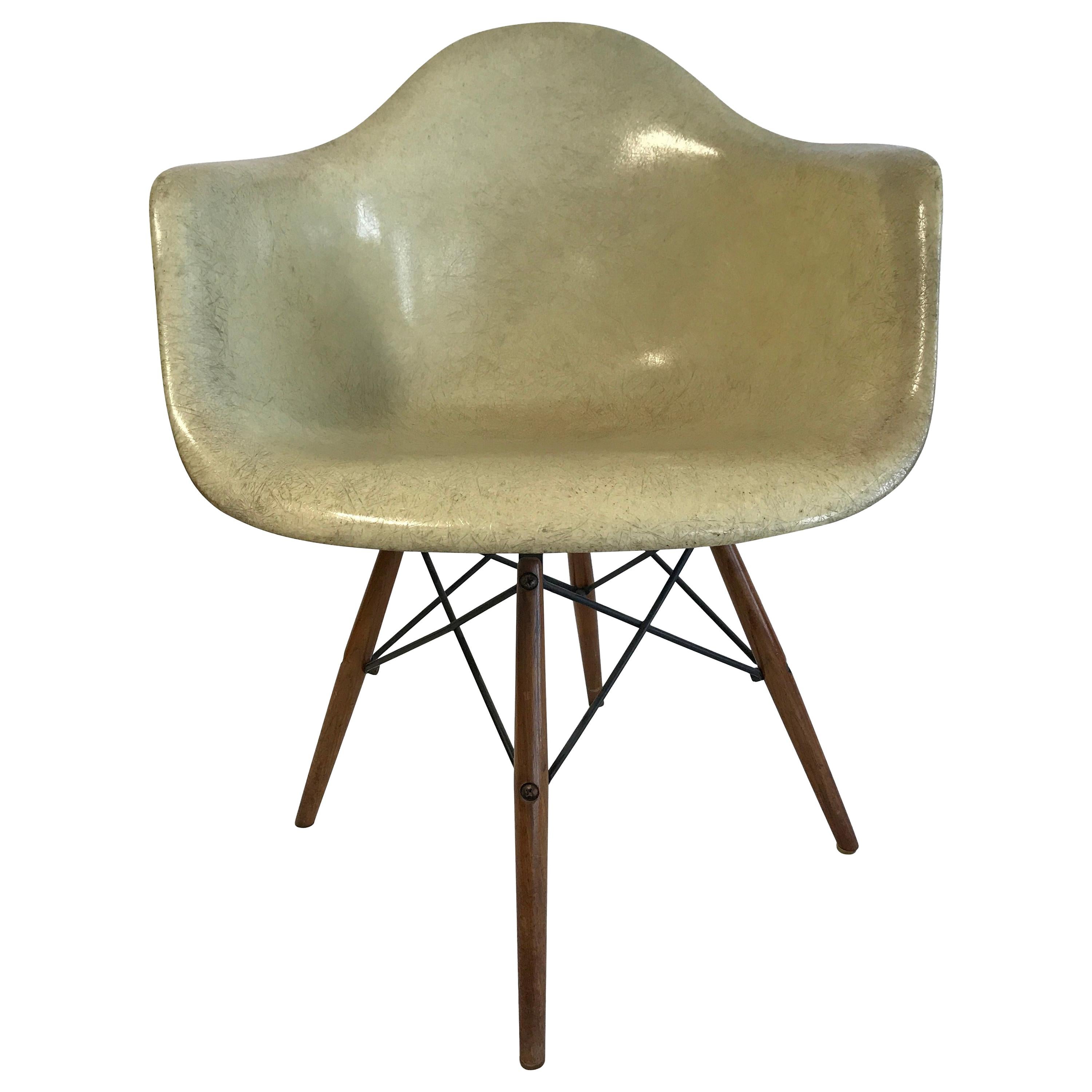 First Edition Charles Eames Paw Chair Swivel Fibre Glass Shell Dowel Leg Noyer