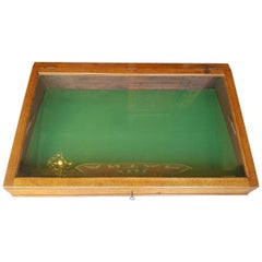 First Half of the 20th Century Large Size Oak Table Display Case