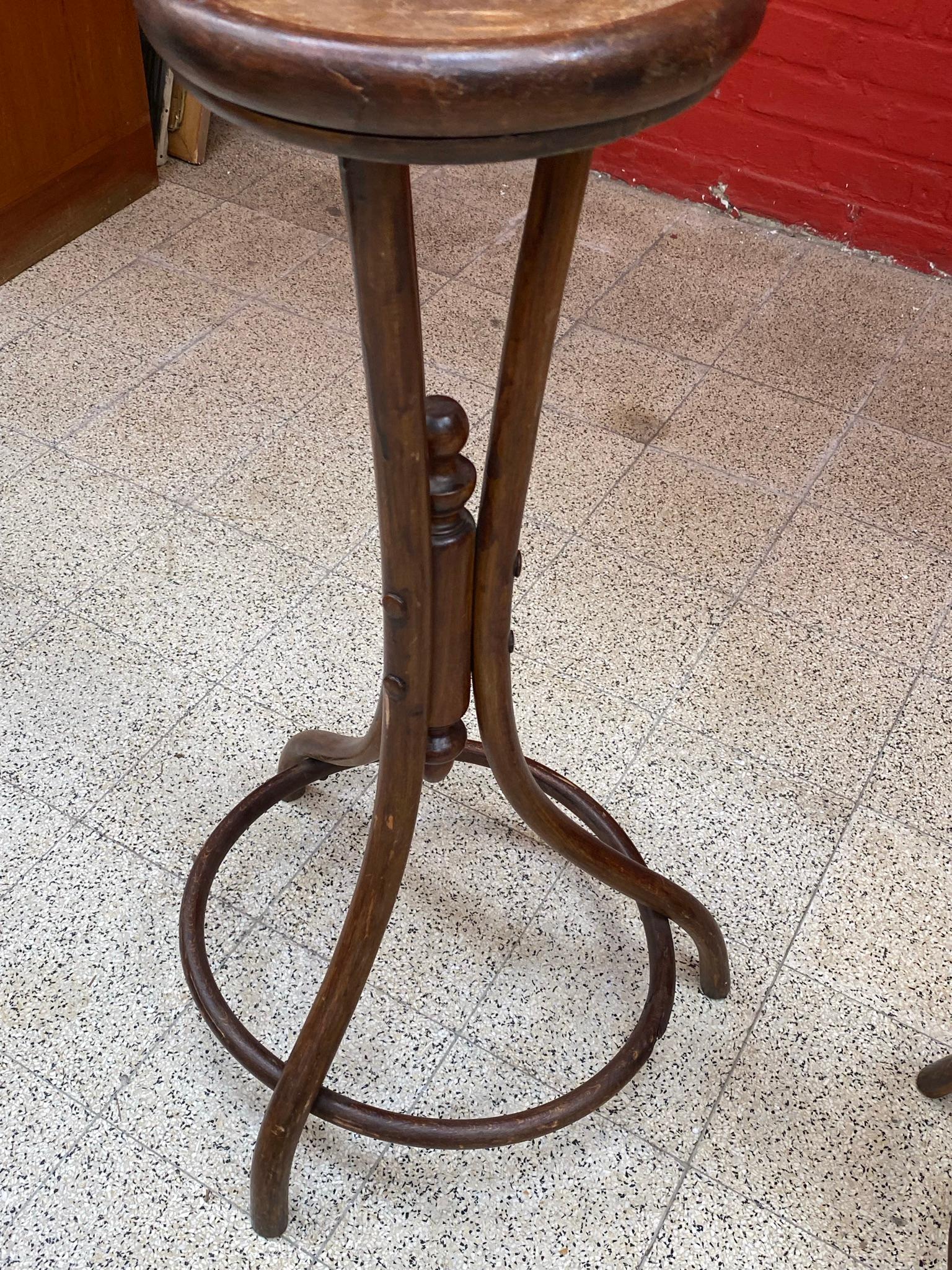 Austrian Fischel, 2 Art Nouveau Wood Pedestals, circa 1900 For Sale