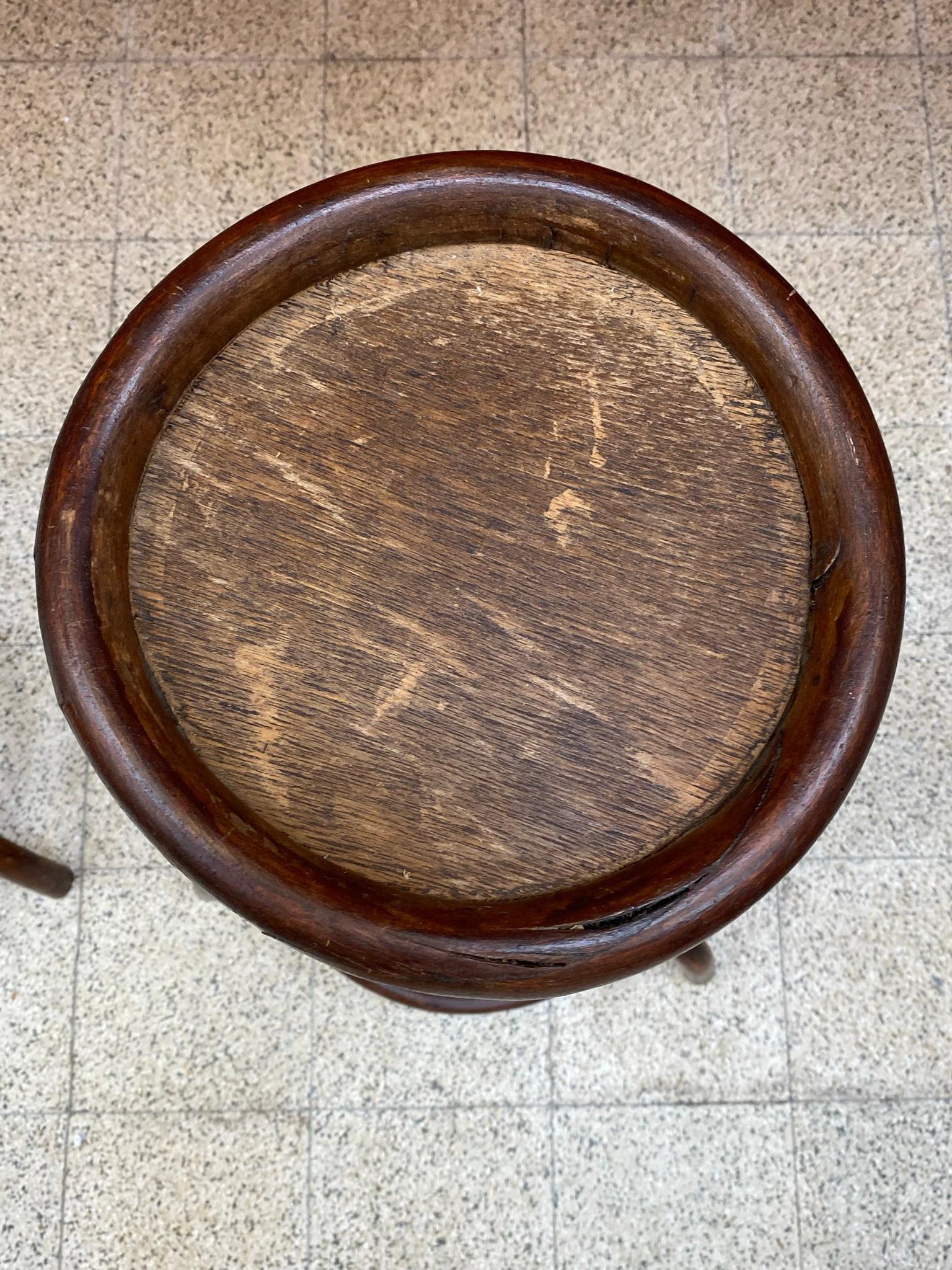 Fischel, 2 Jugendstil-Holzsockel, um 1900 (Österreichisch) im Angebot