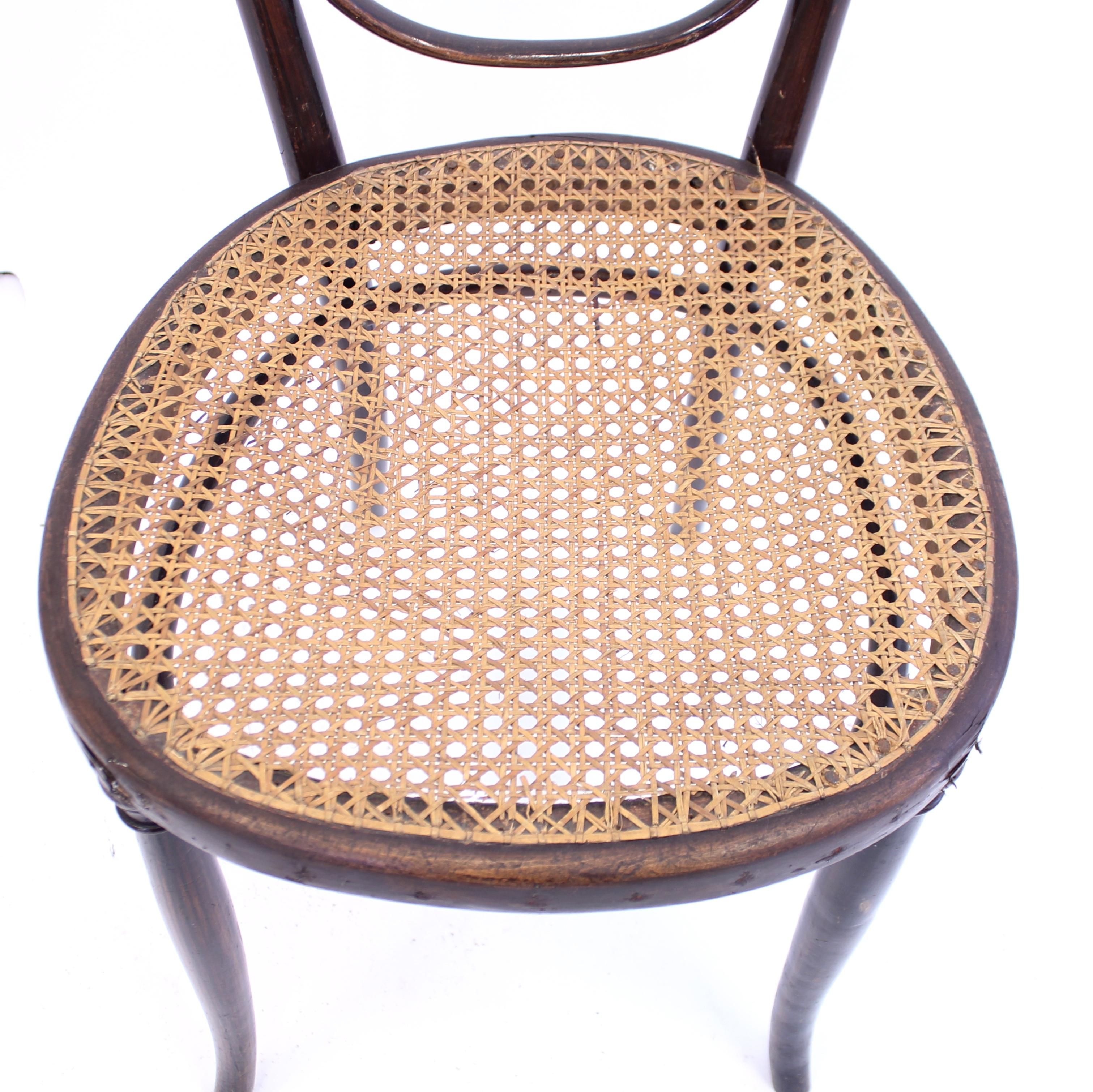 Chaise de café en bois courbé de Fischel, début du 20e siècle en vente 1