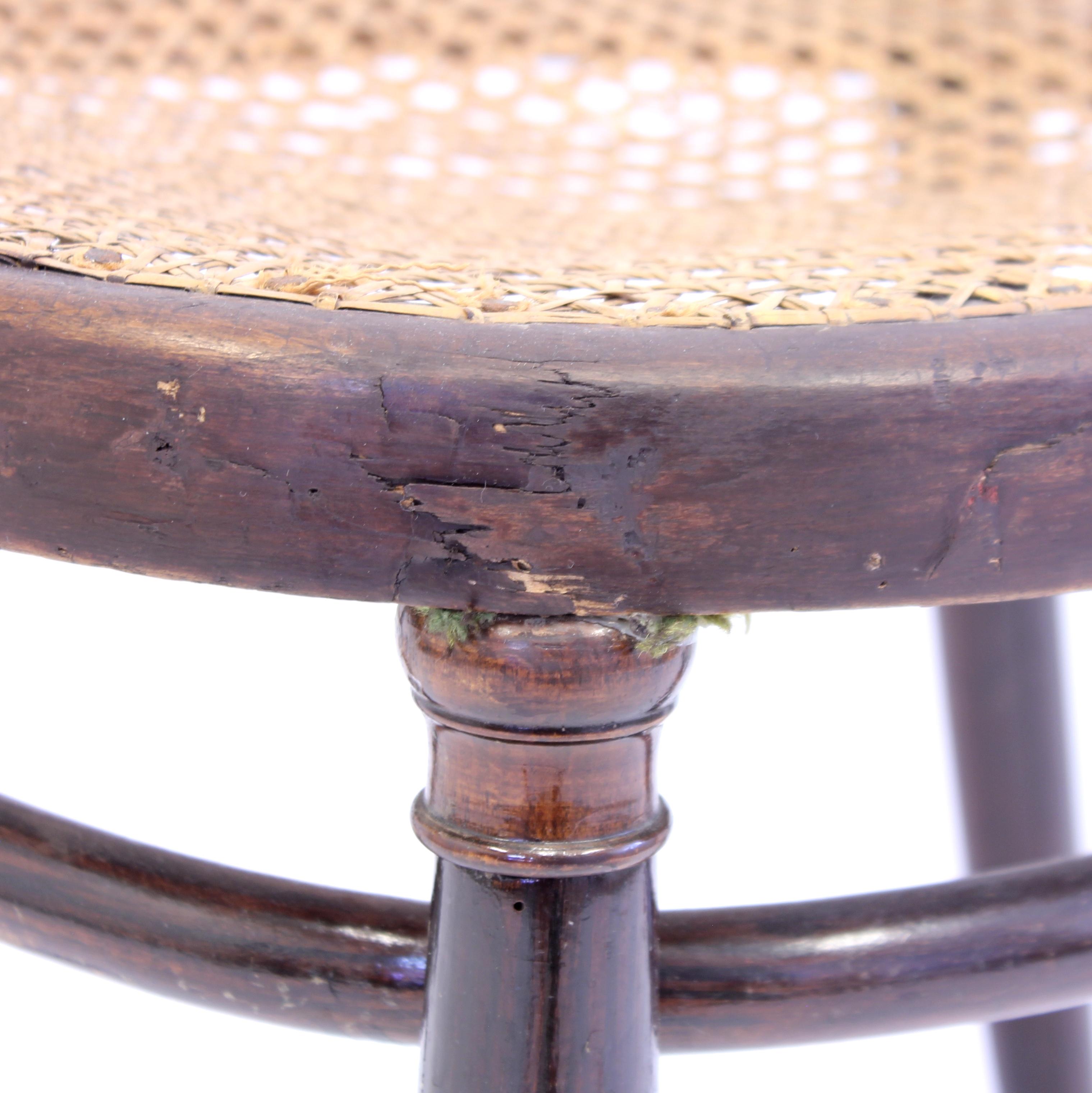 Chaise de café en bois courbé de Fischel, début du 20e siècle en vente 6