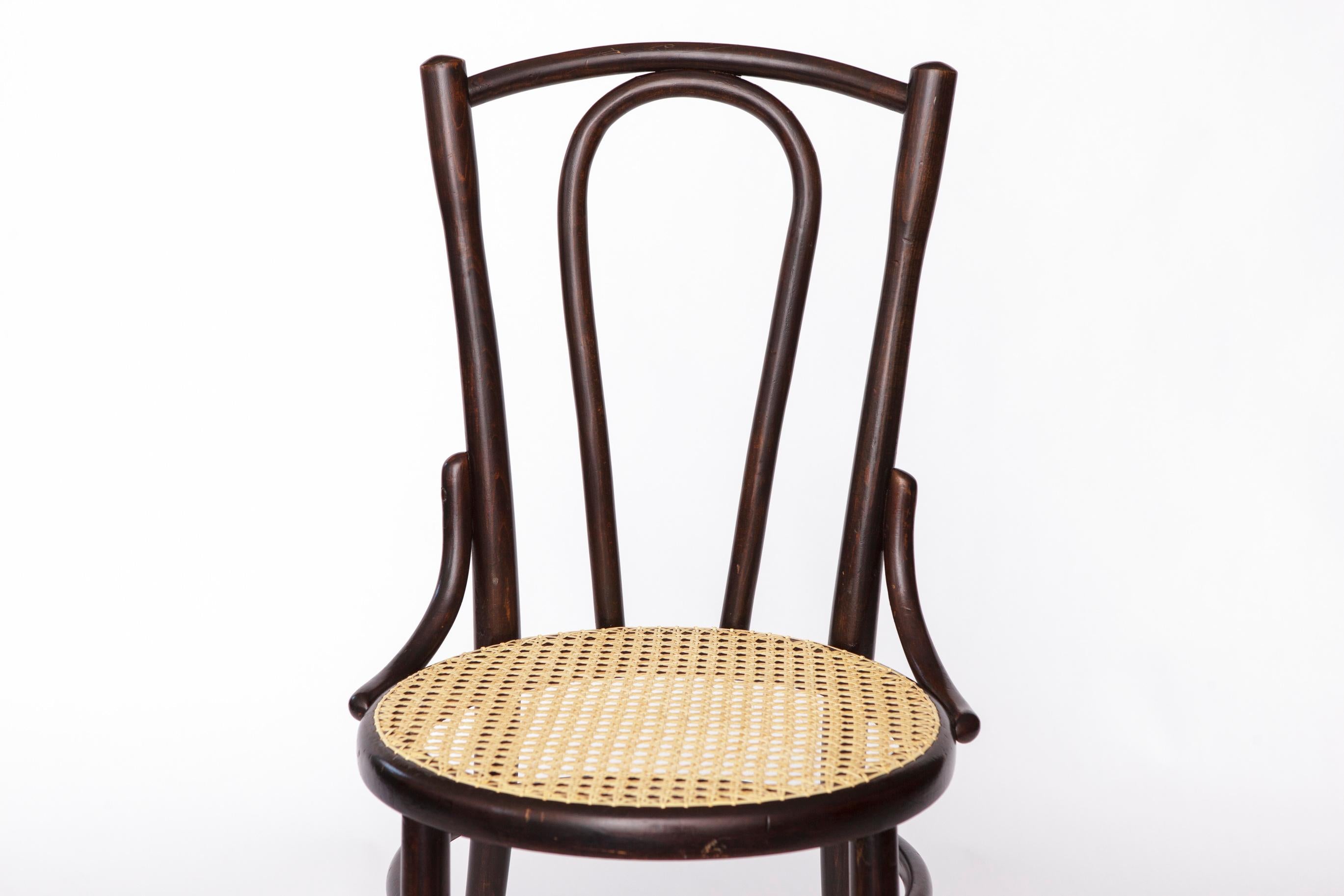 Fischel Bentwood Chair – Early 20th Century, Competitor of Thonet
Elegant bentwood chair by the historic Austrian company Fischel, a well-known competitor of Thonet in the early 20th century.

Solid beechwood frame with a dark stained finish, in