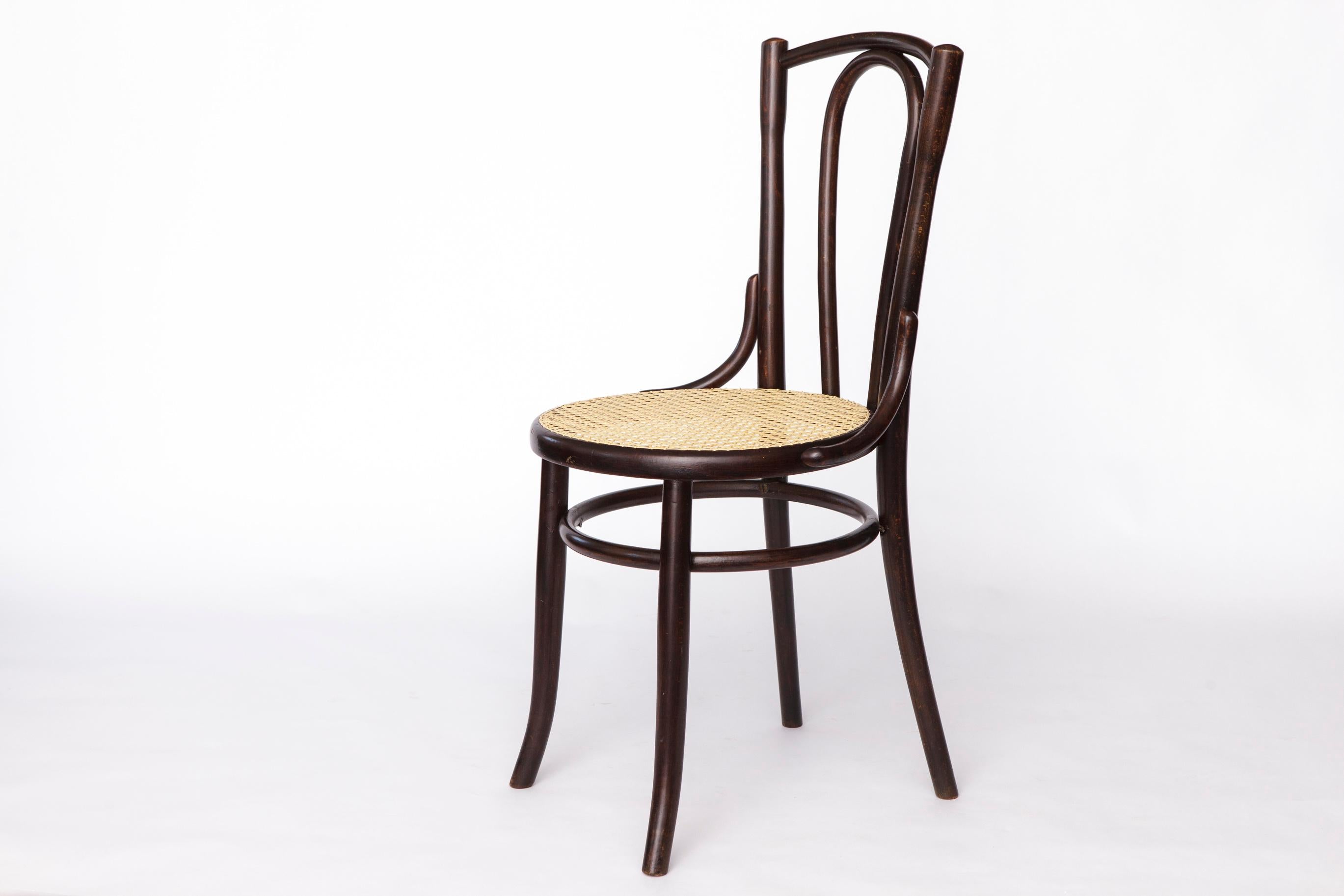 Austrian Fischel Bentwood Chair – Early 20th Century Thonet Style, Beechwood Frame For Sale